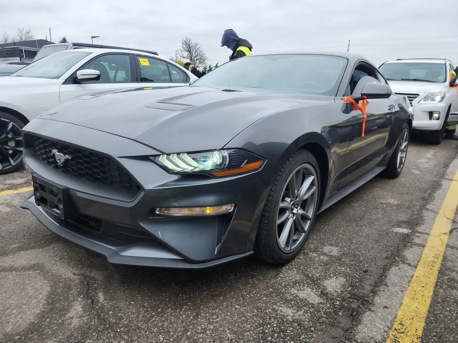 2019 Ford Mustang