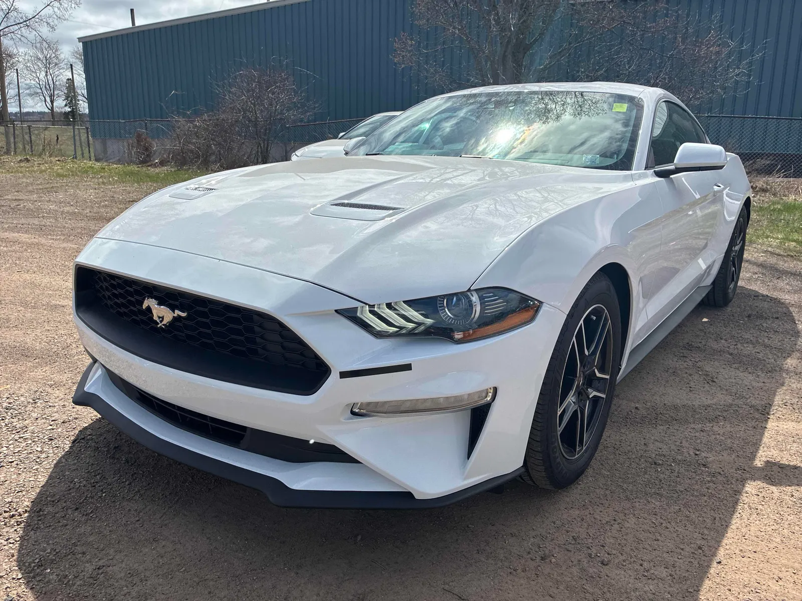 2021 Ford Mustang