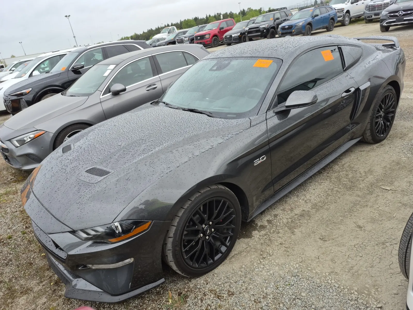2019 Ford Mustang