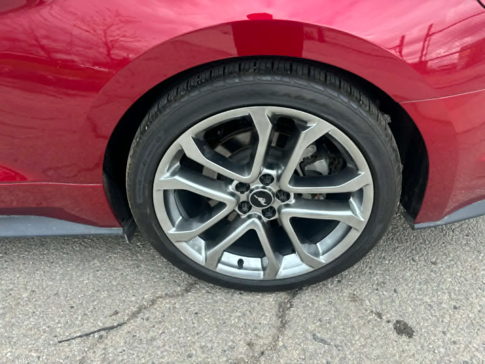 Tire