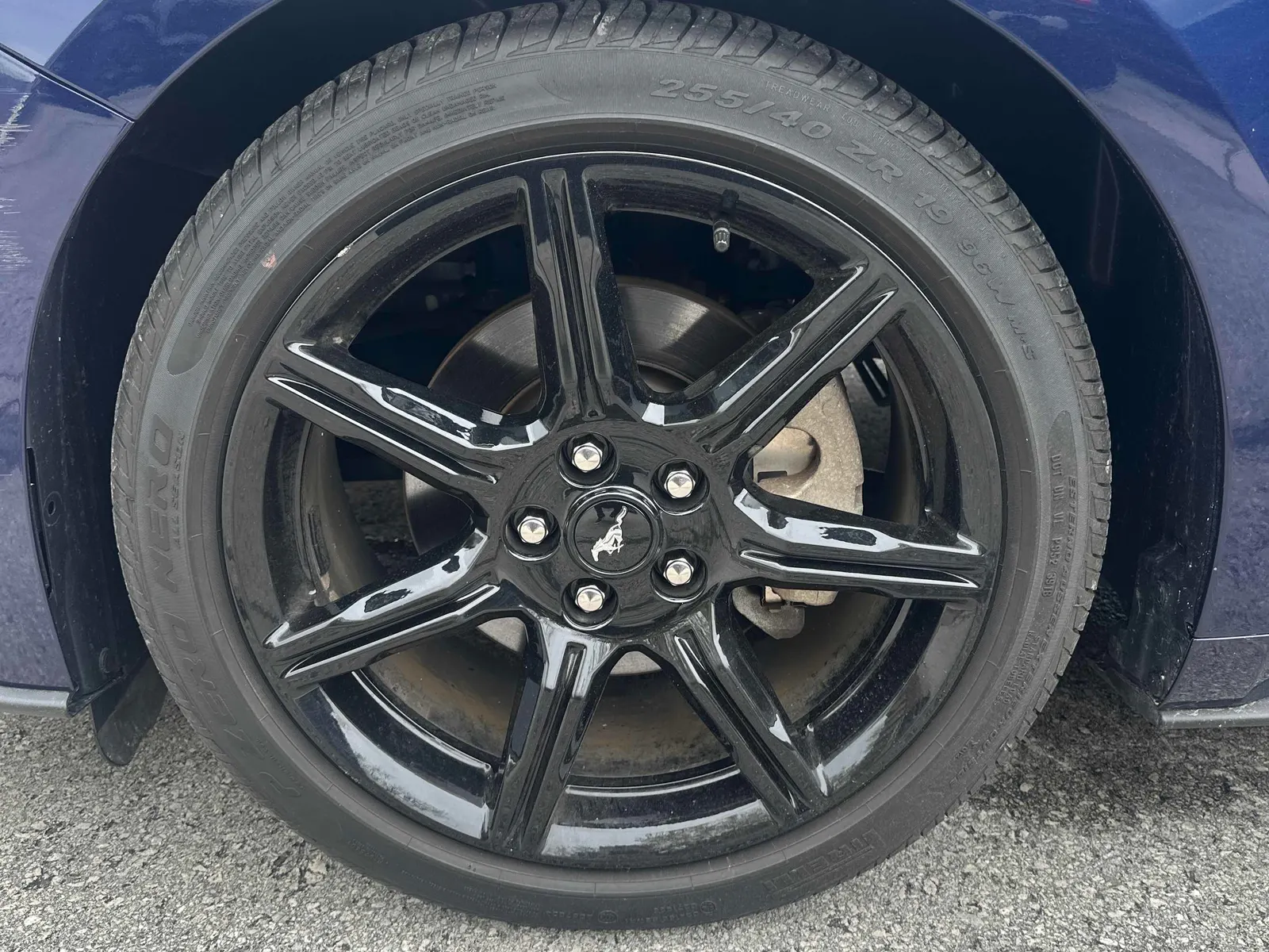 Tire