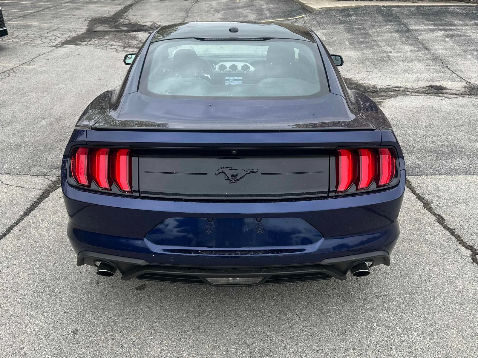 Back