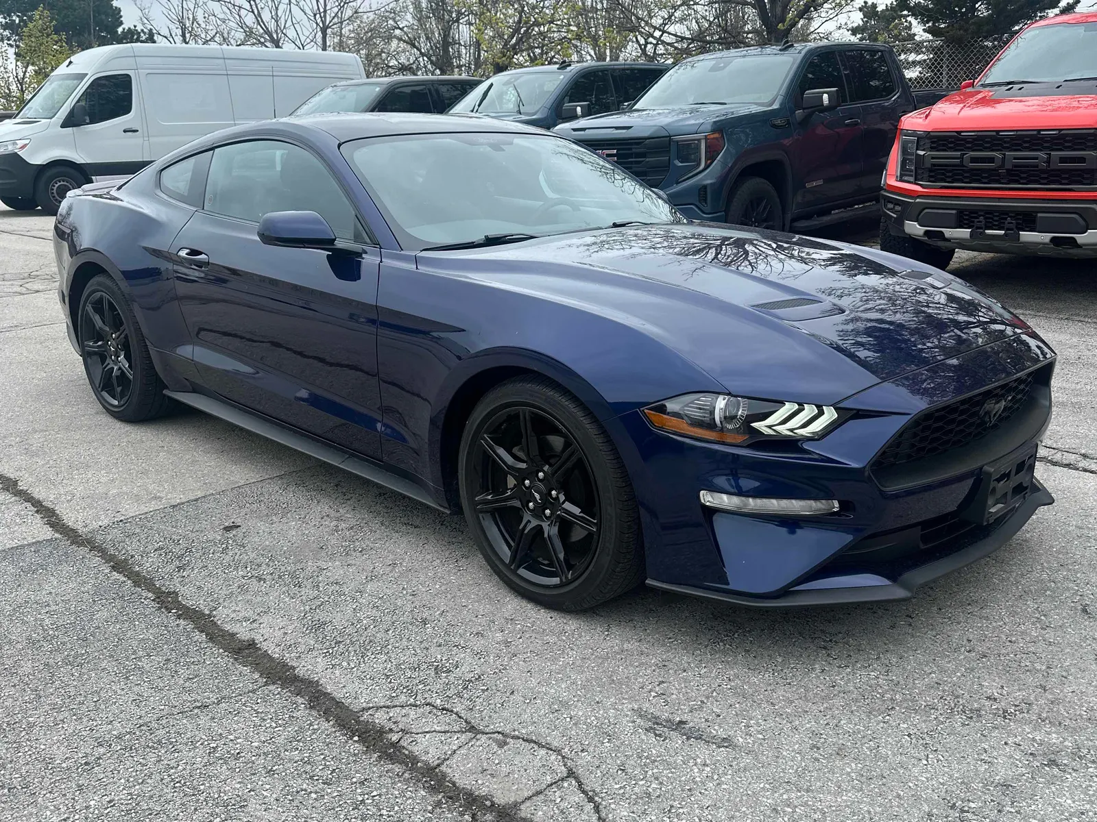 2019 Ford Mustang