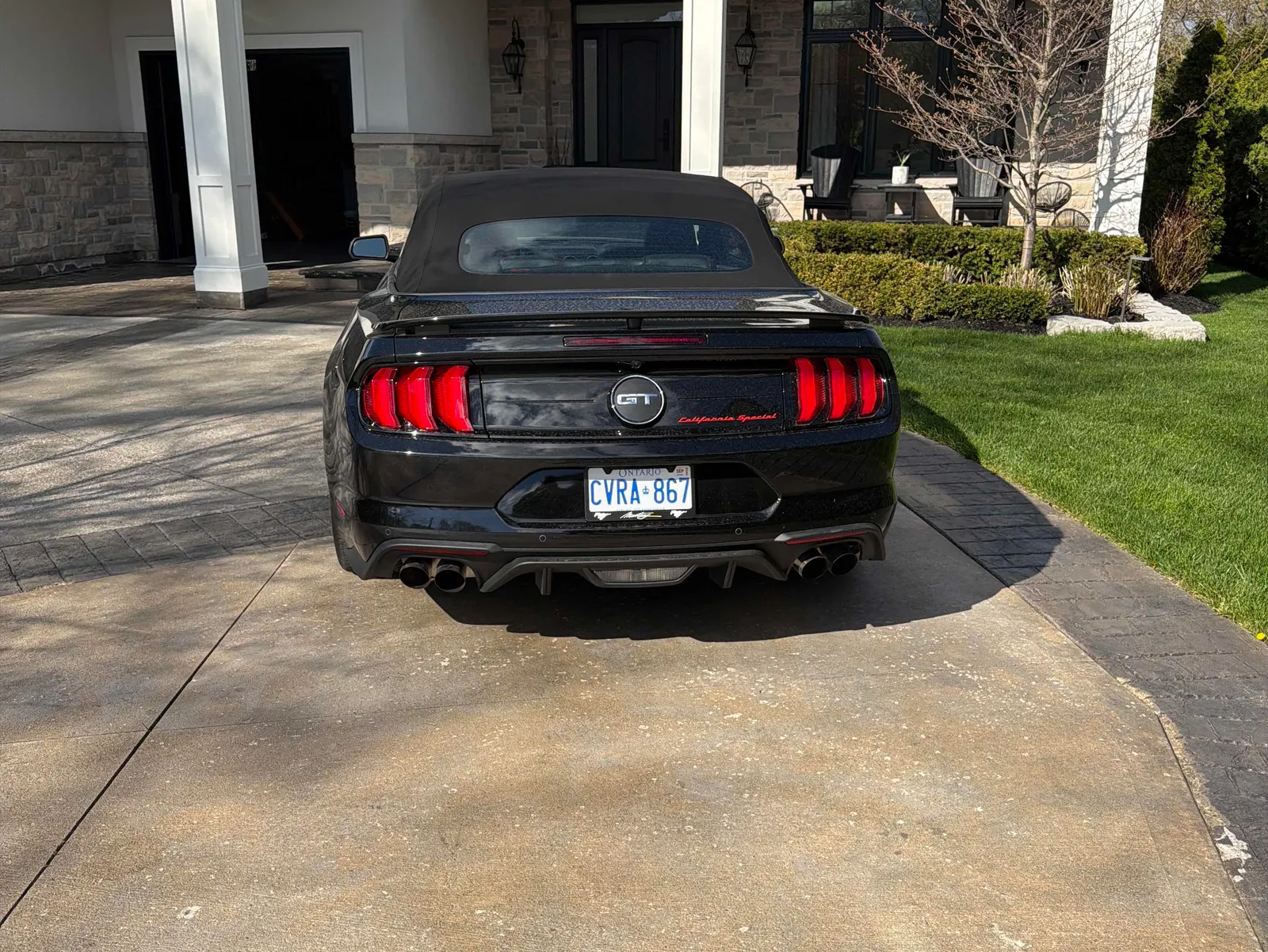 Back