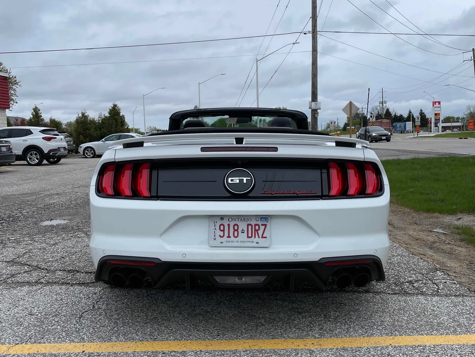 Back