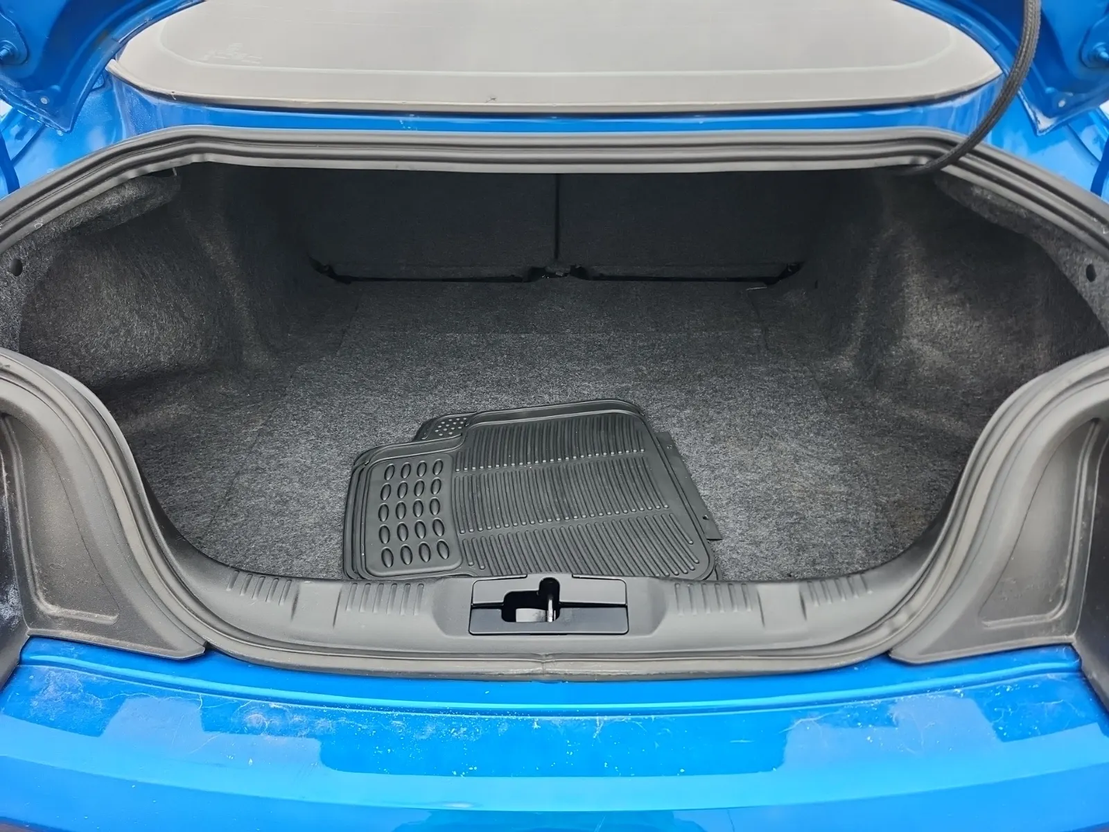Cargo Area Photo