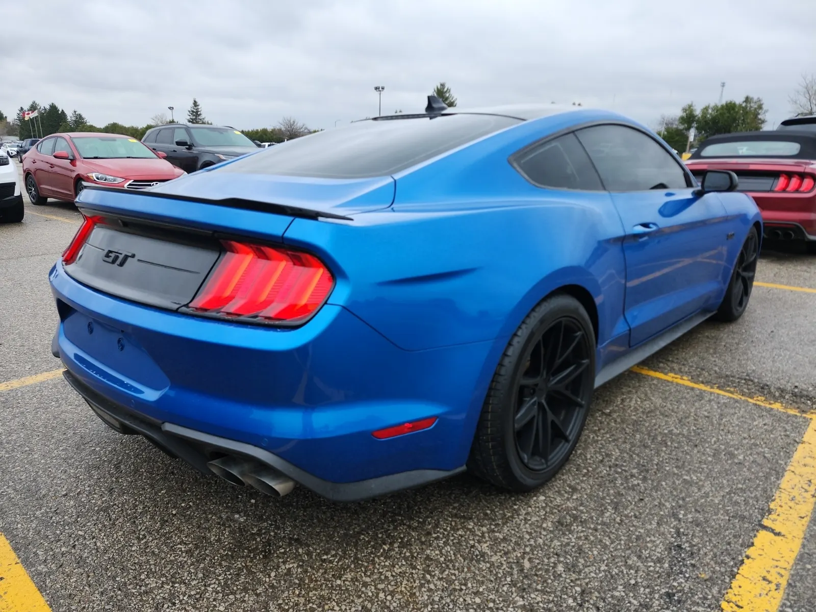 Passenger Rear 3/4 Photo