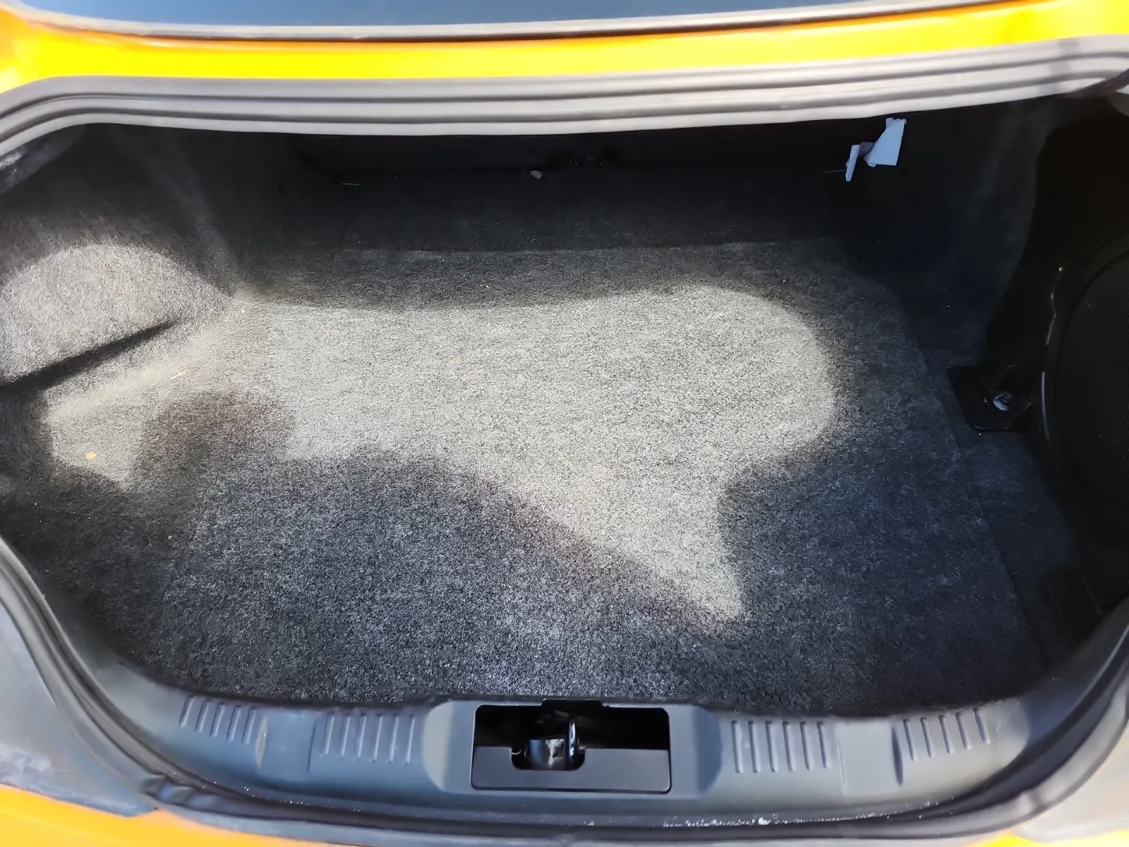 Cargo Area Photo