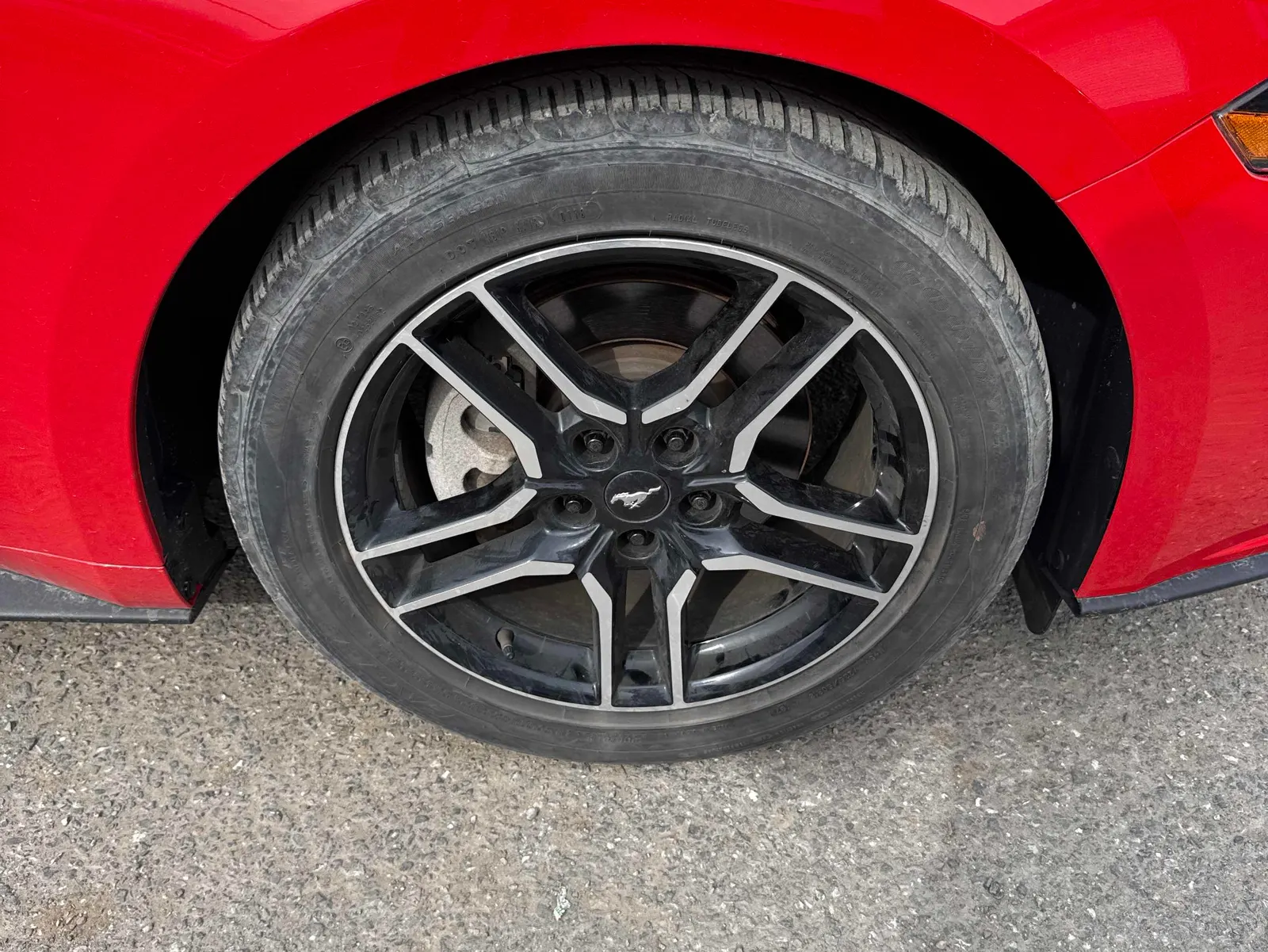 Tire