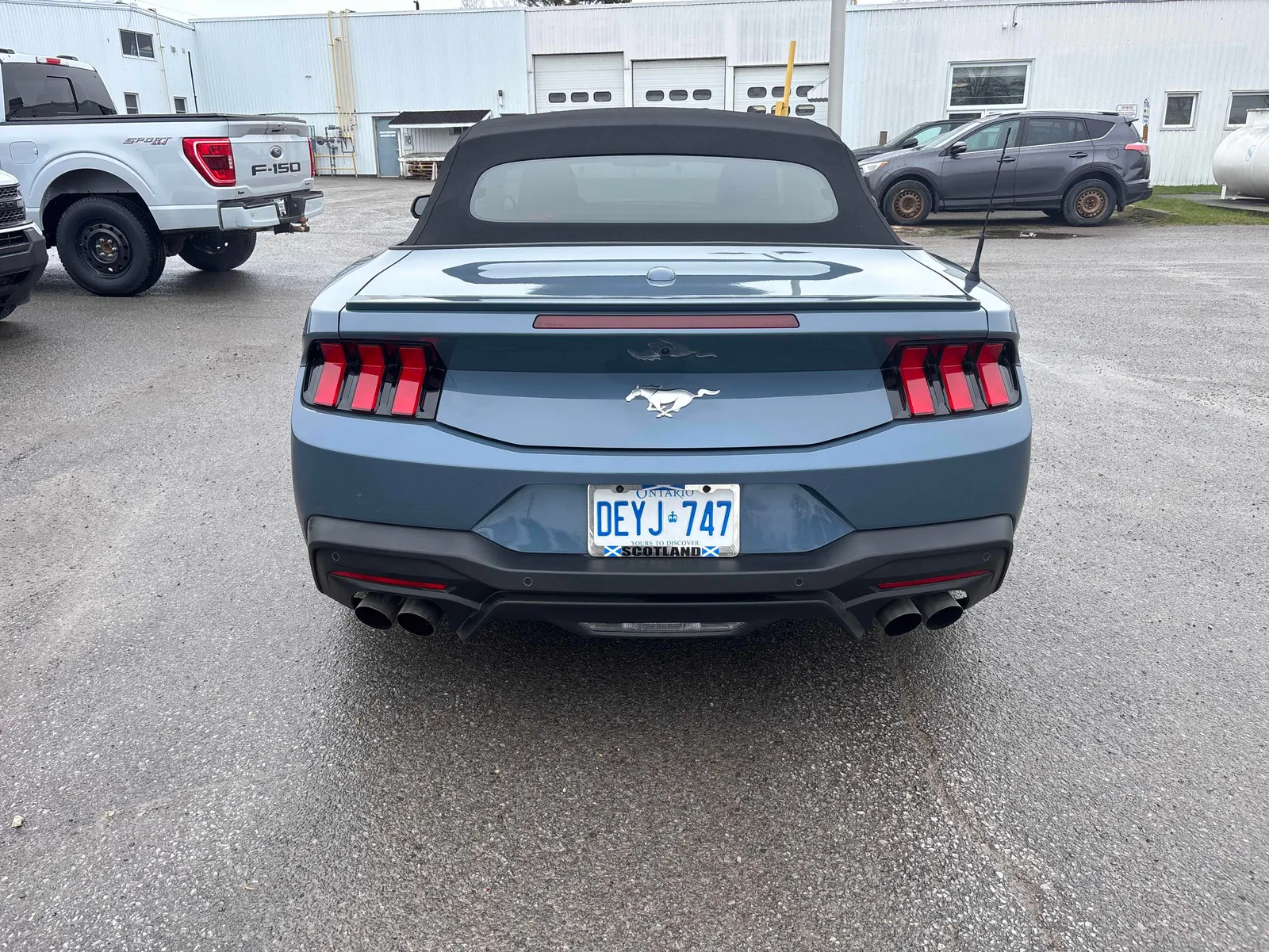 Back