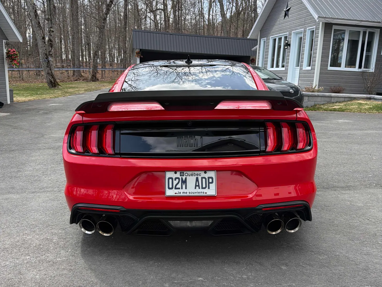 Back