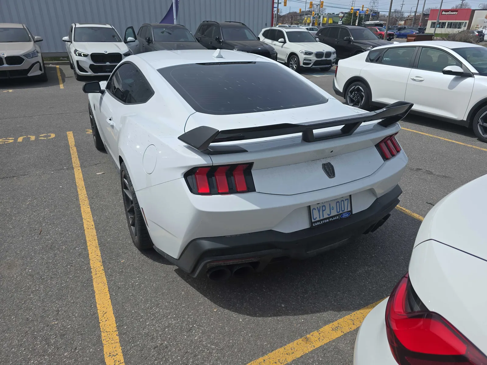 Back