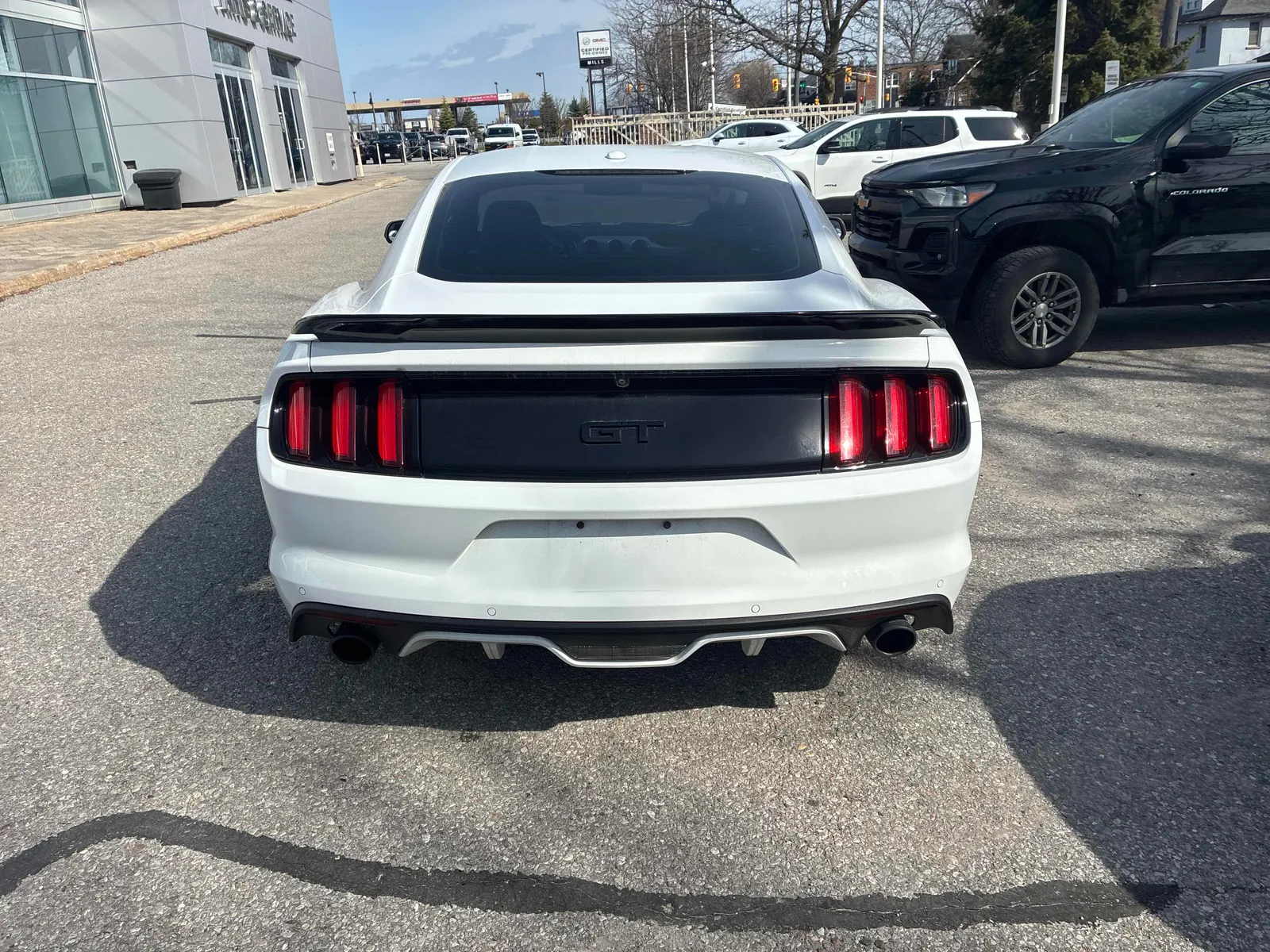 Back