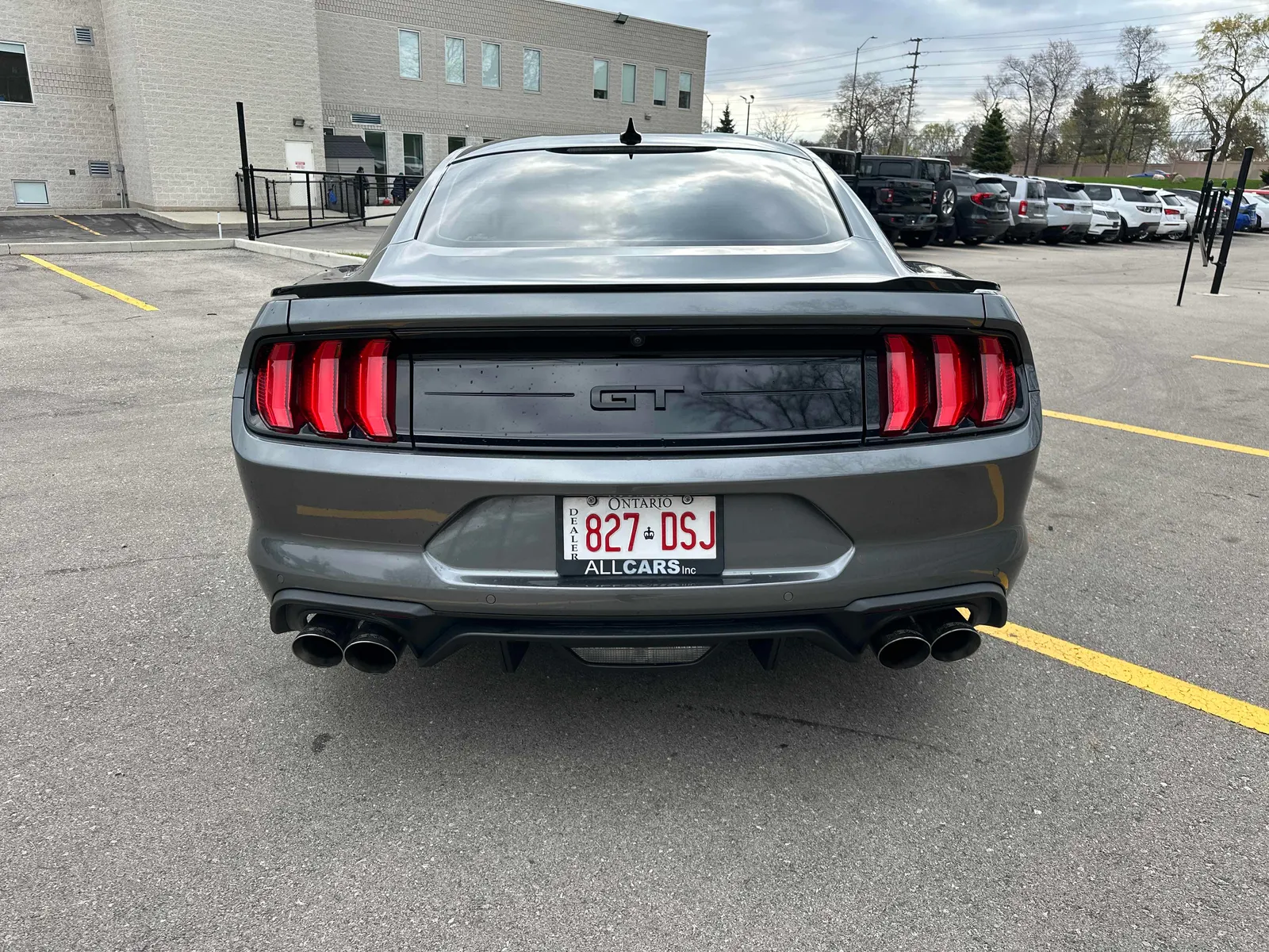 Back
