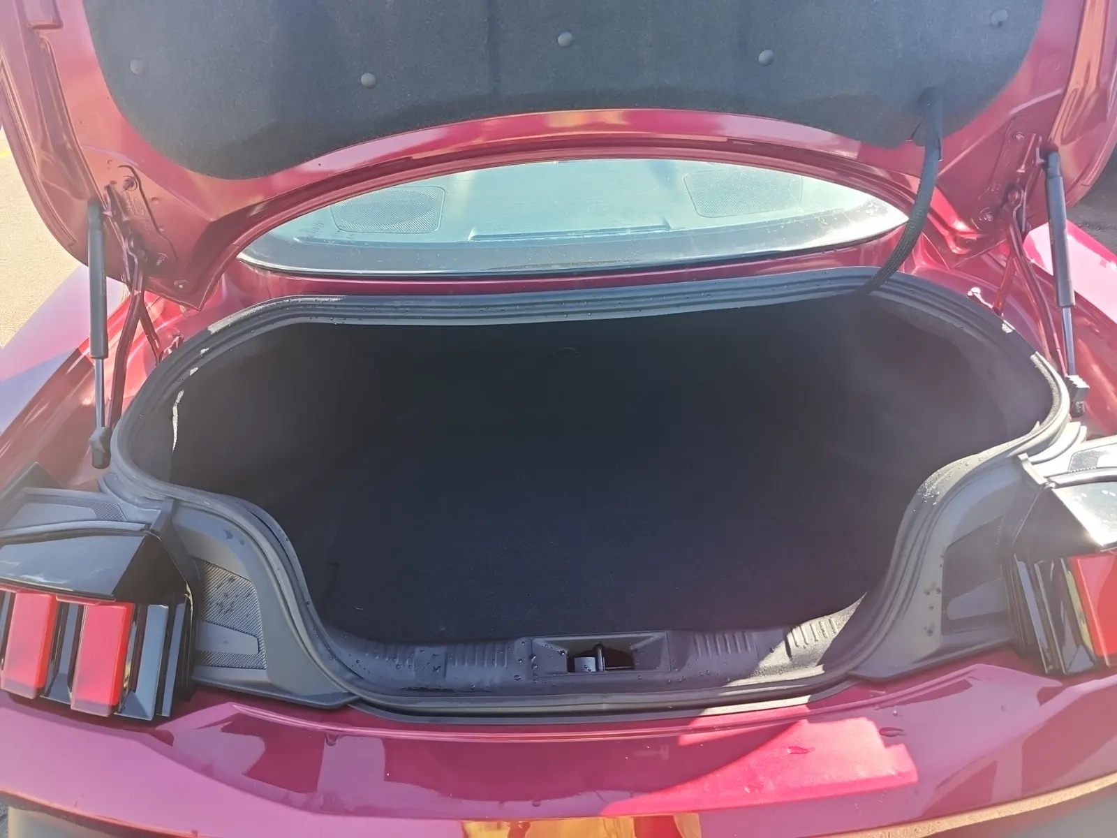 Cargo Area Photo