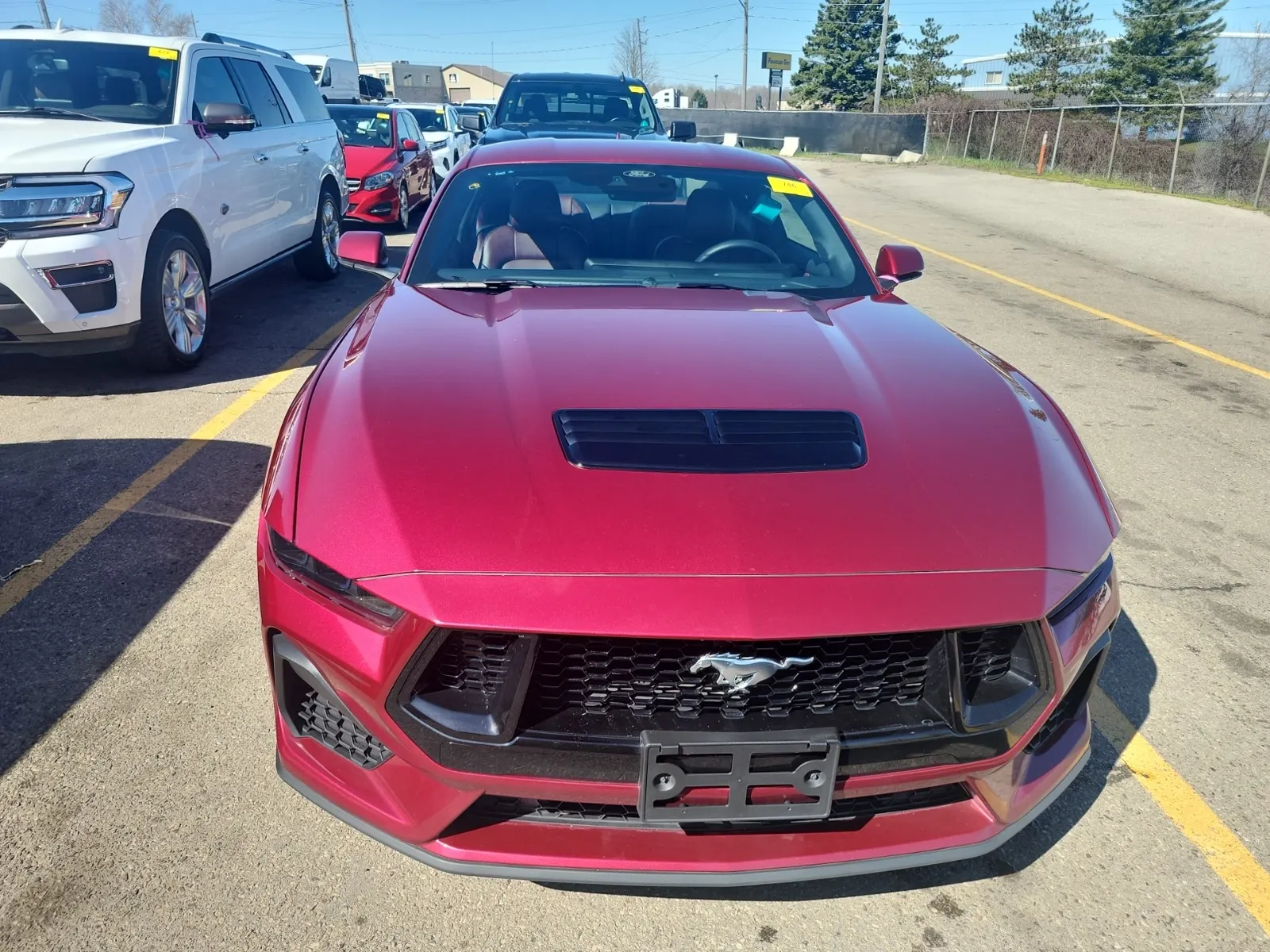 Full Front Photo