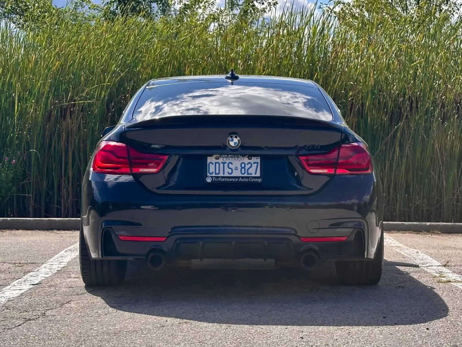 Back
