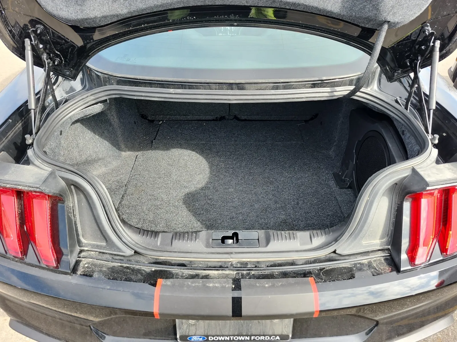 Cargo Area Photo