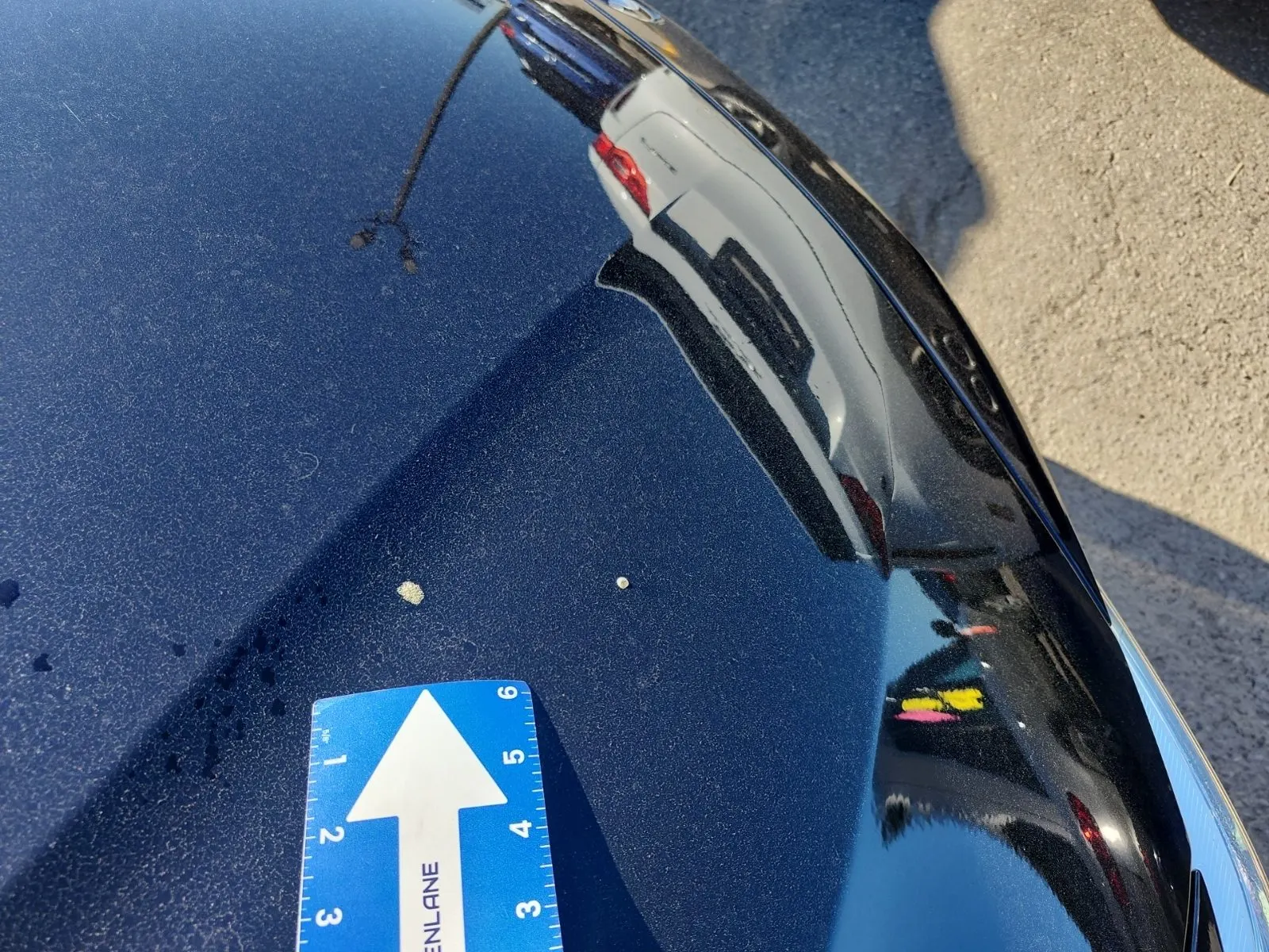 Extra Photo 2