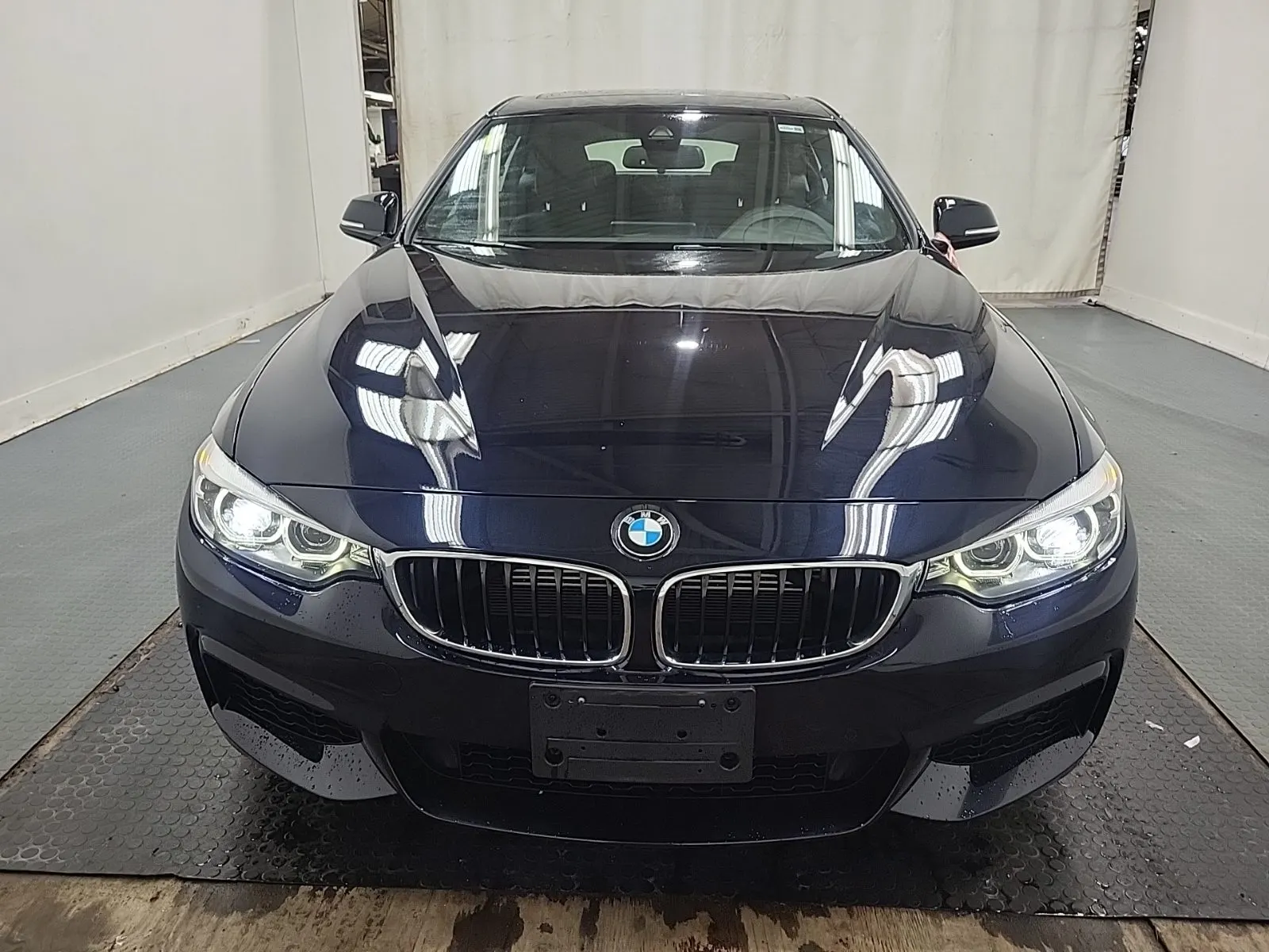 Full Front Photo