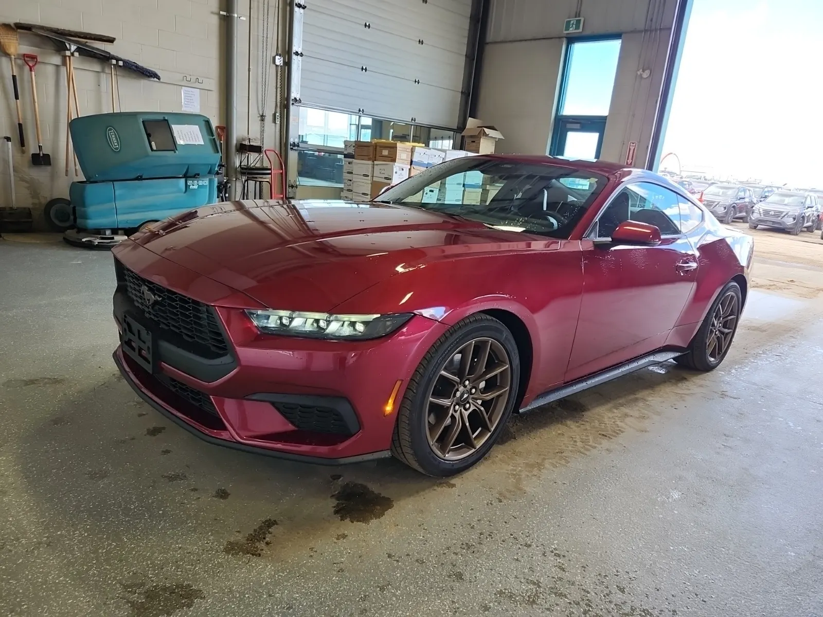 2025 Ford Mustang