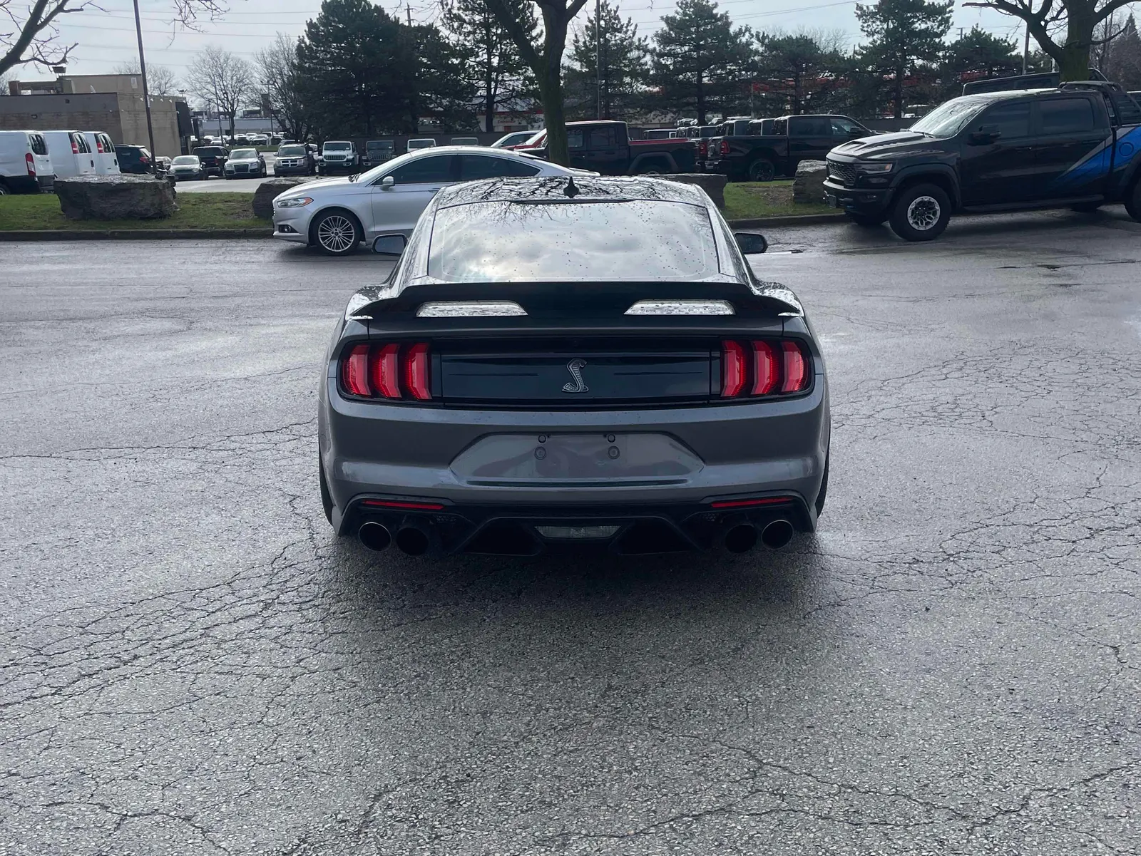 Back