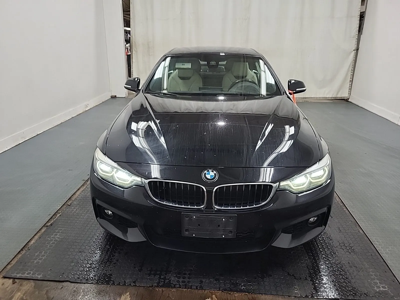 Full Front Photo