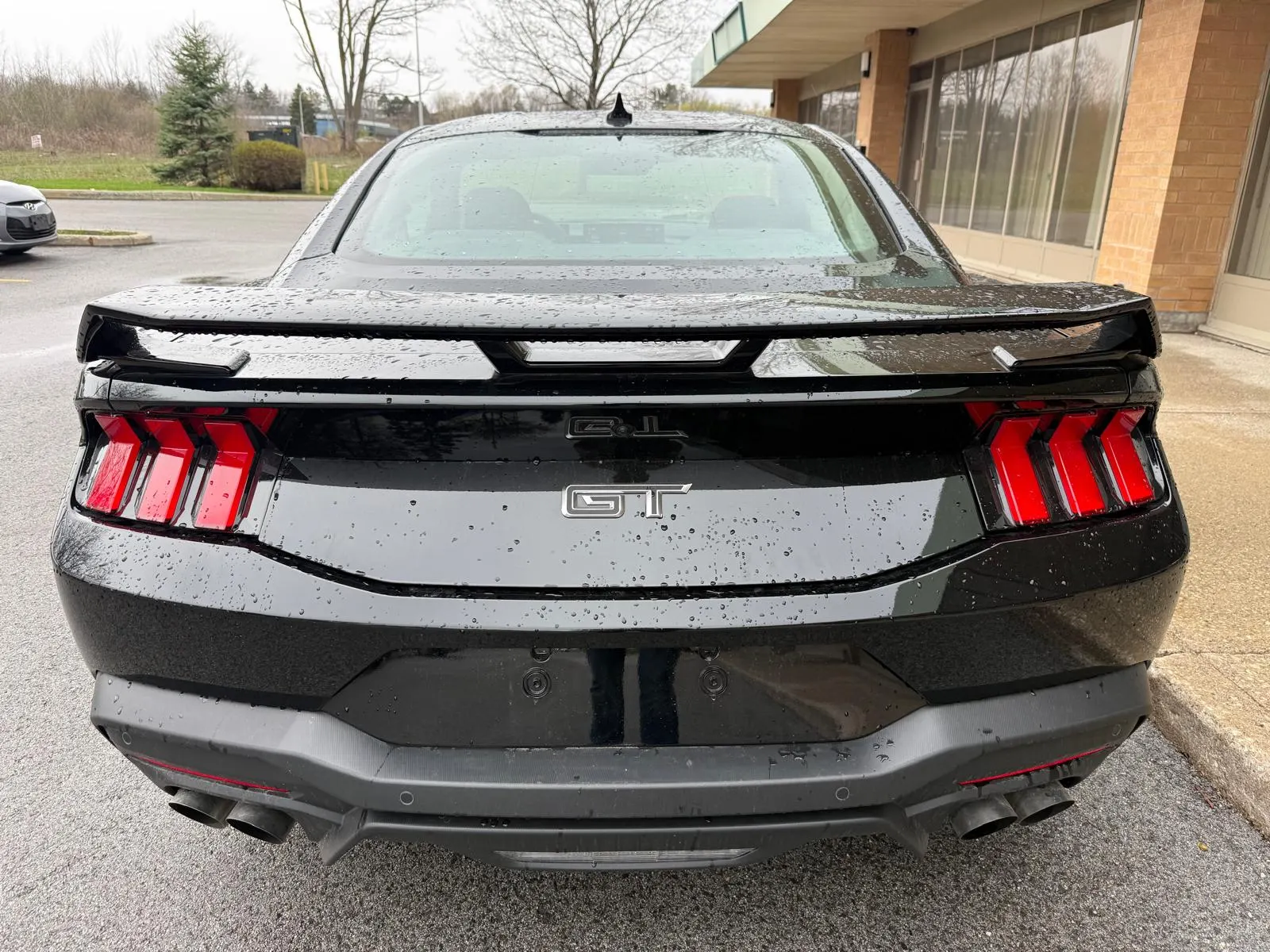Back