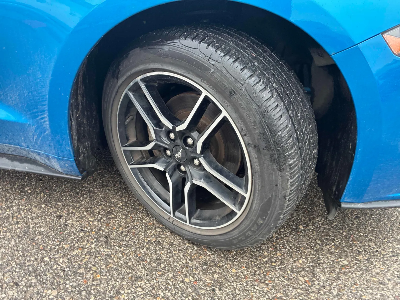 Tire