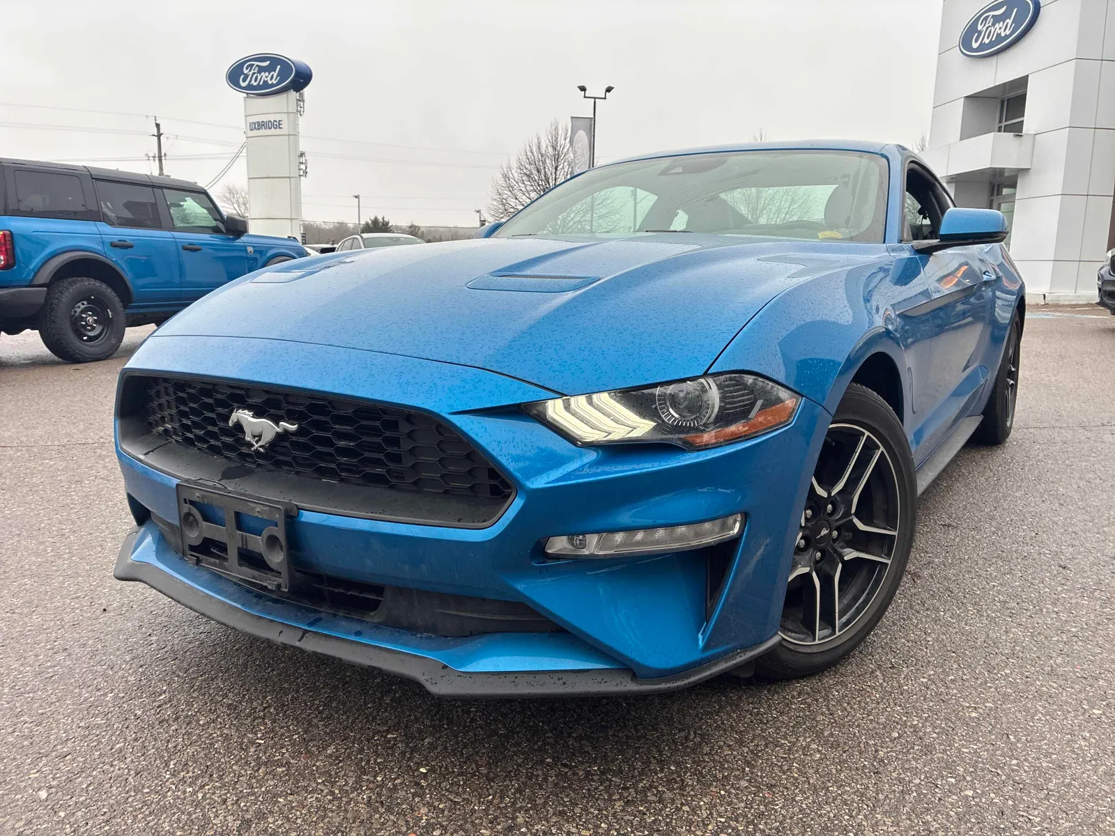 2021 Ford Mustang