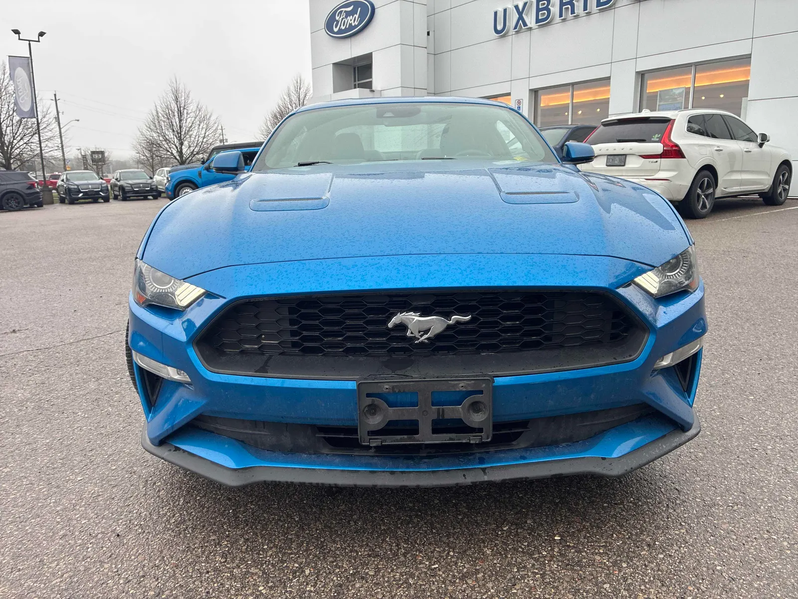 Front