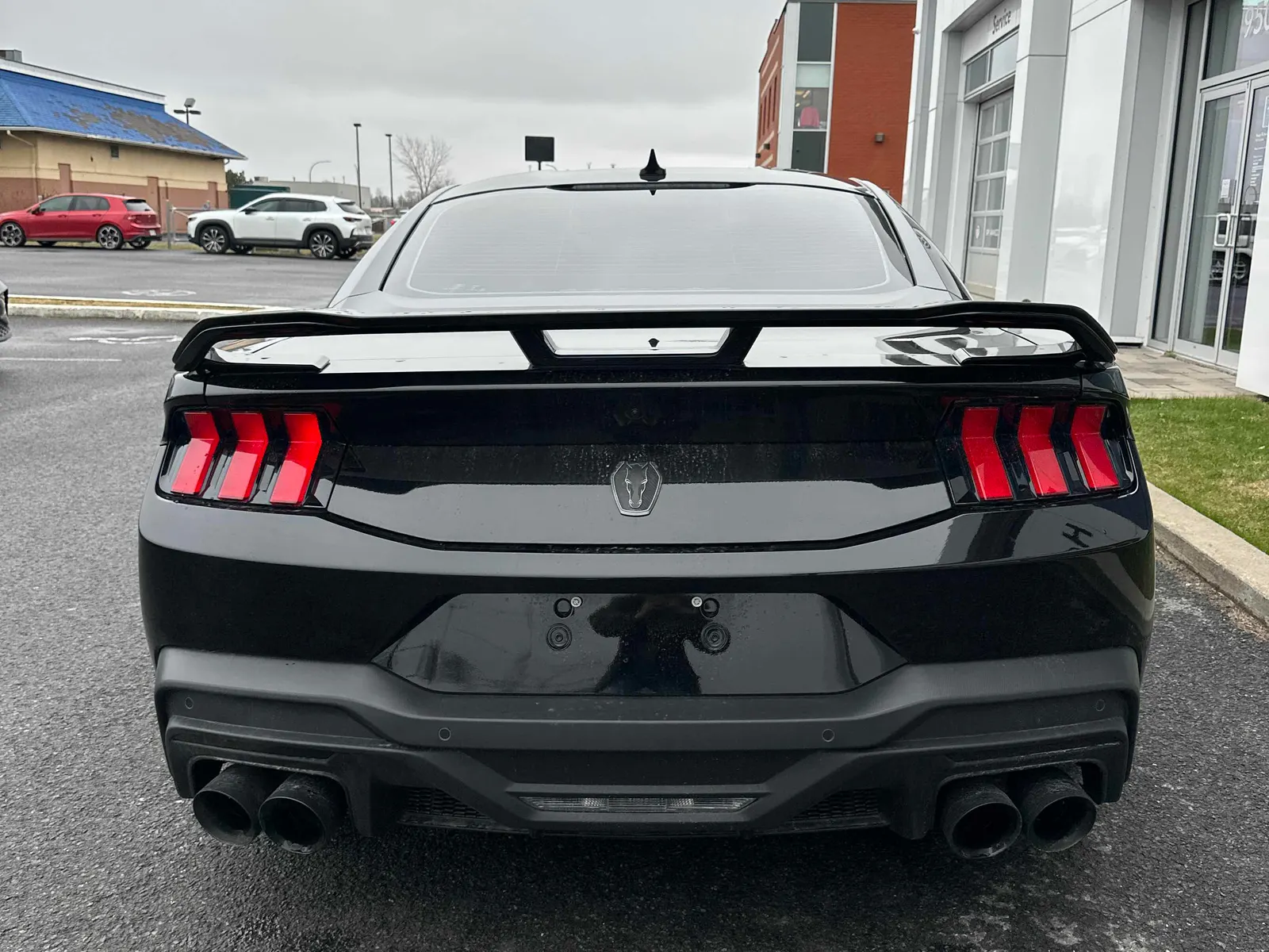 Back