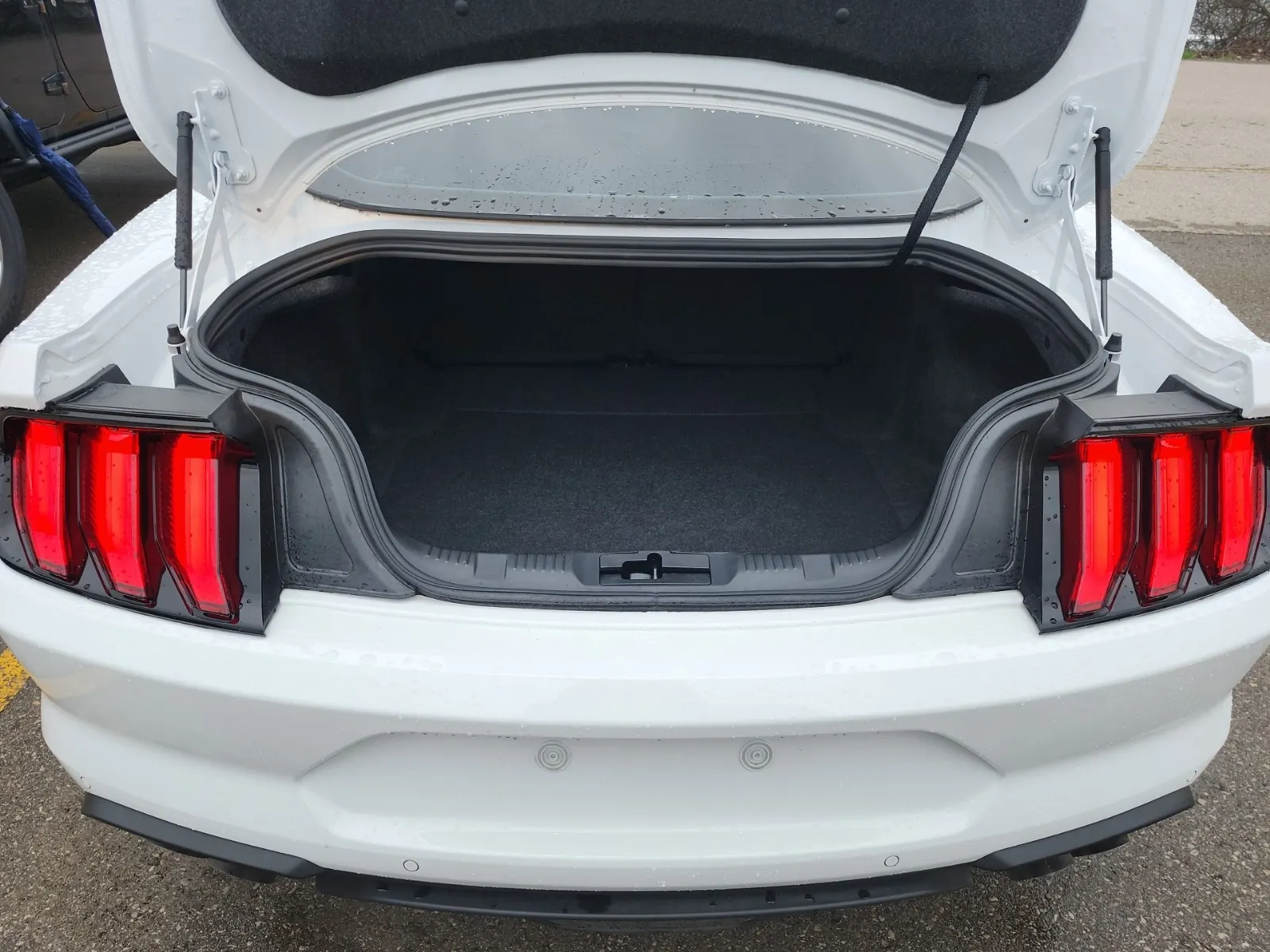 Cargo Area Photo