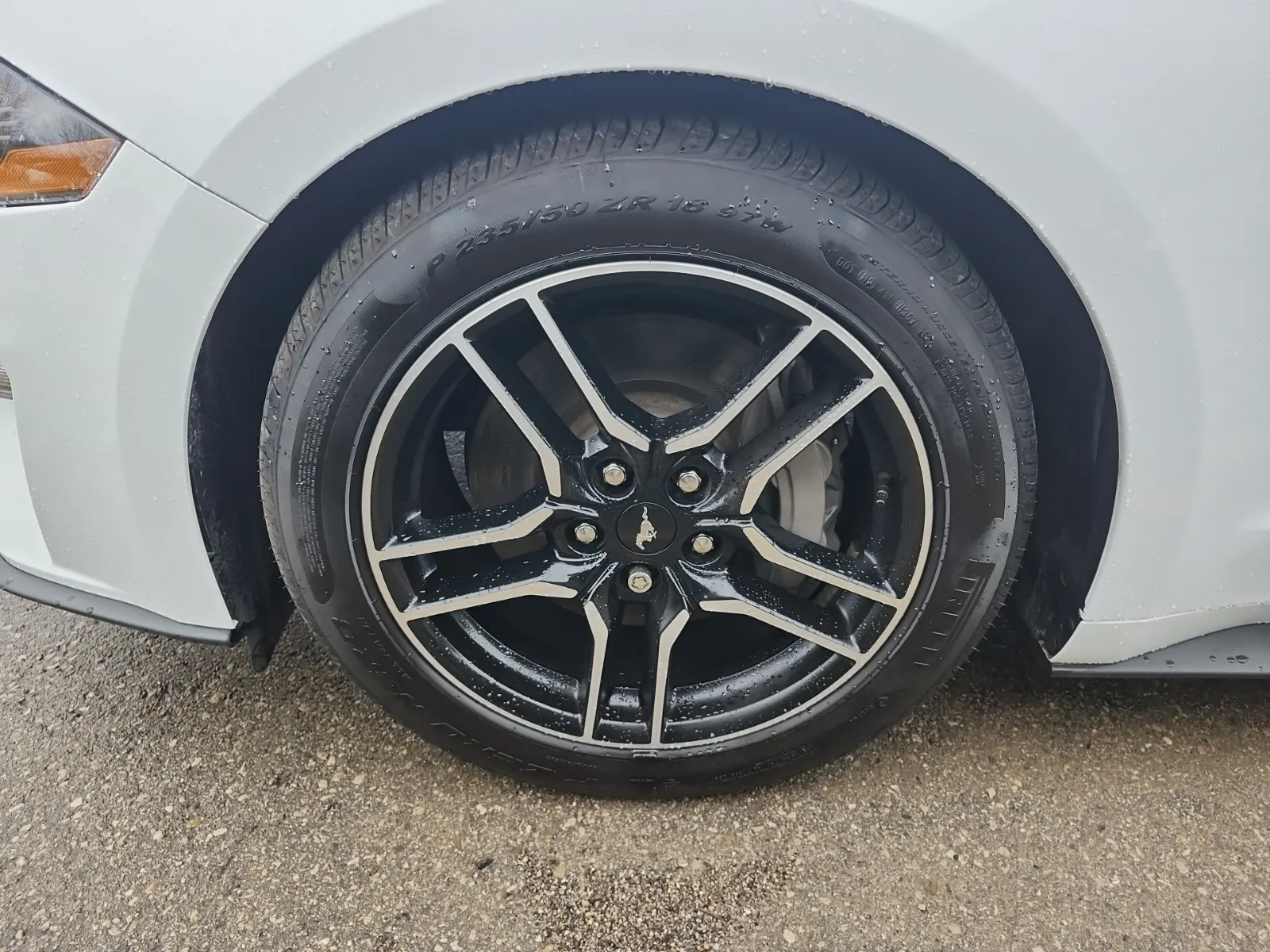 Front driver wheel/tire photo