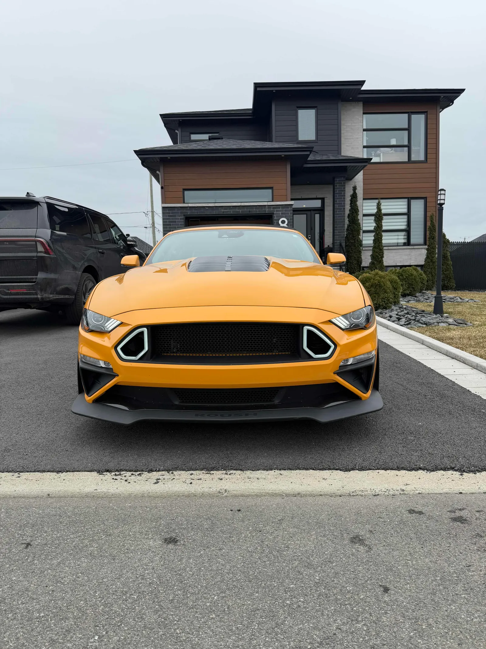 Additional Photo