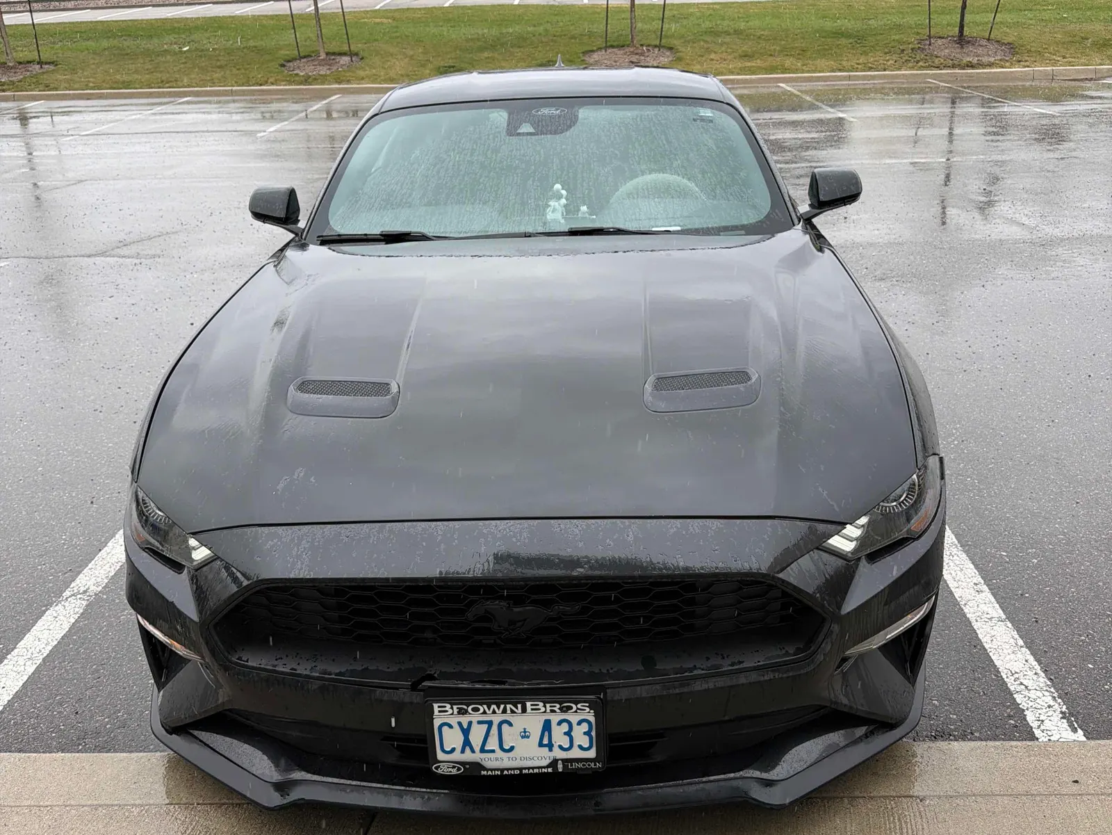 Front