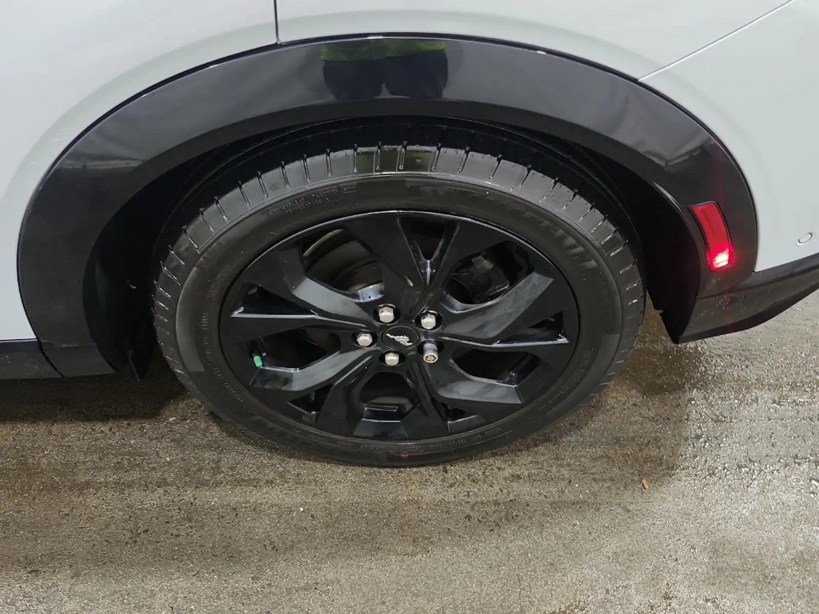 Left Rear Wheel/Tire Photo