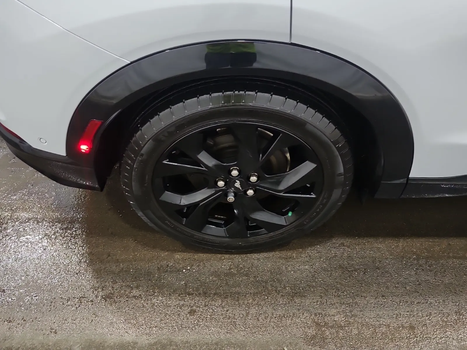 Right Rear Wheel/Tire Photo