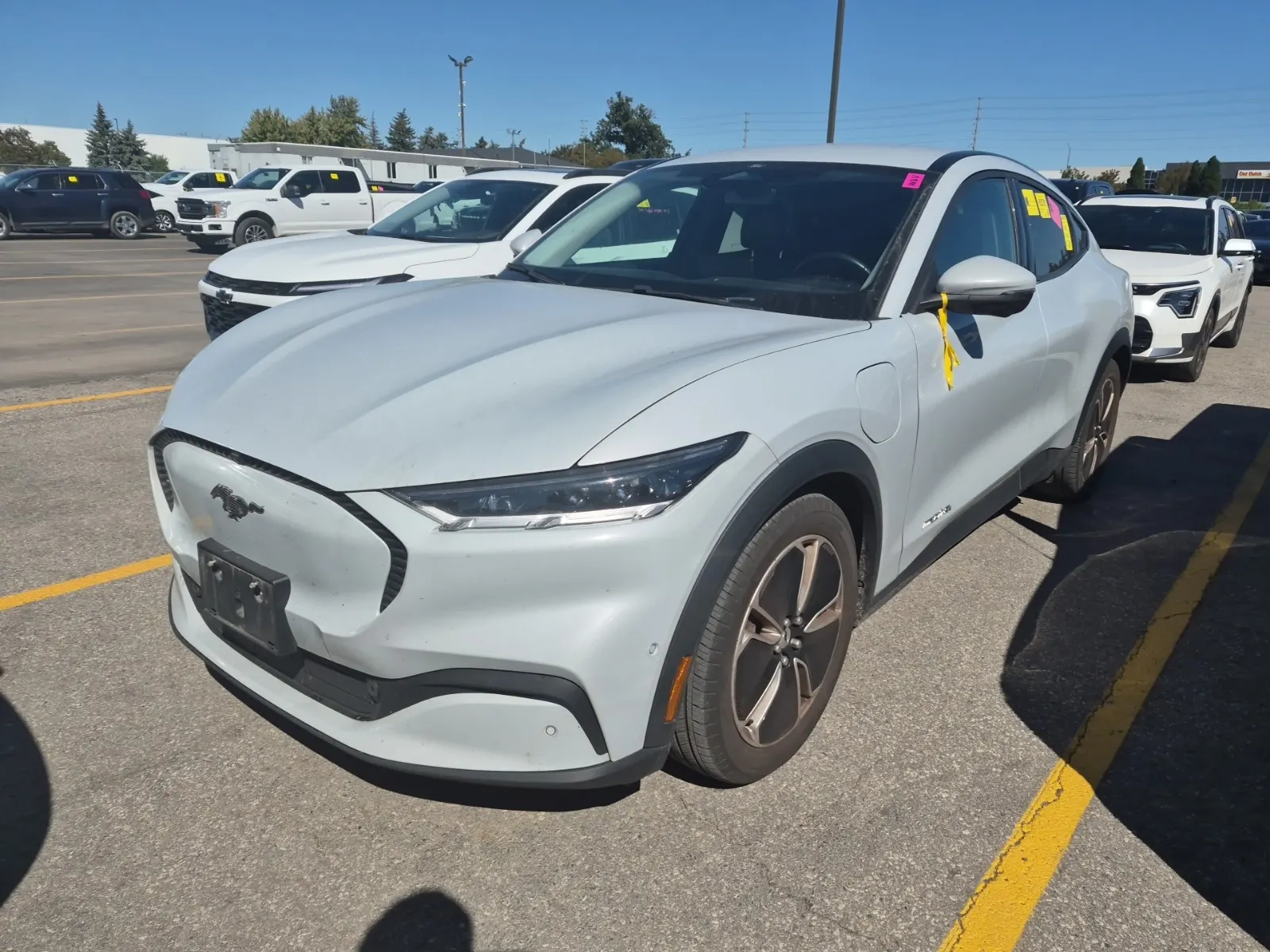 2022 Ford Mustang Mach-E