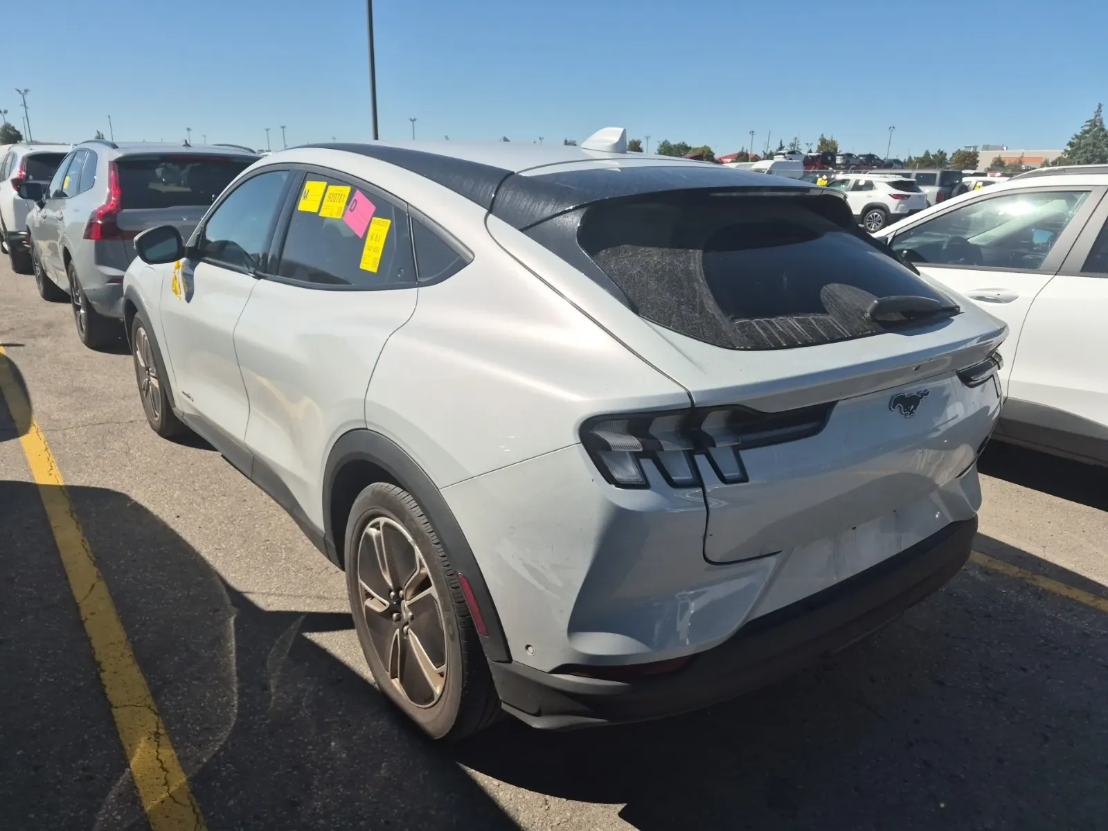 Driver Rear 3/4 Photo