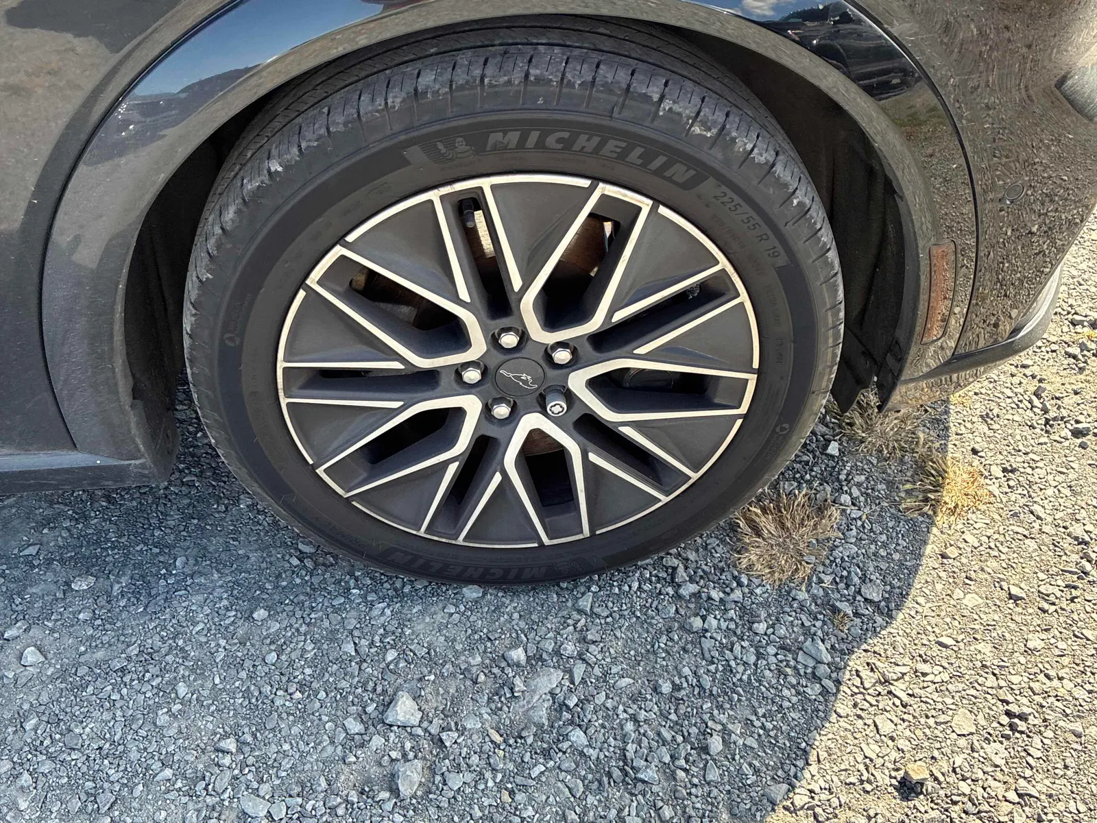 Tire