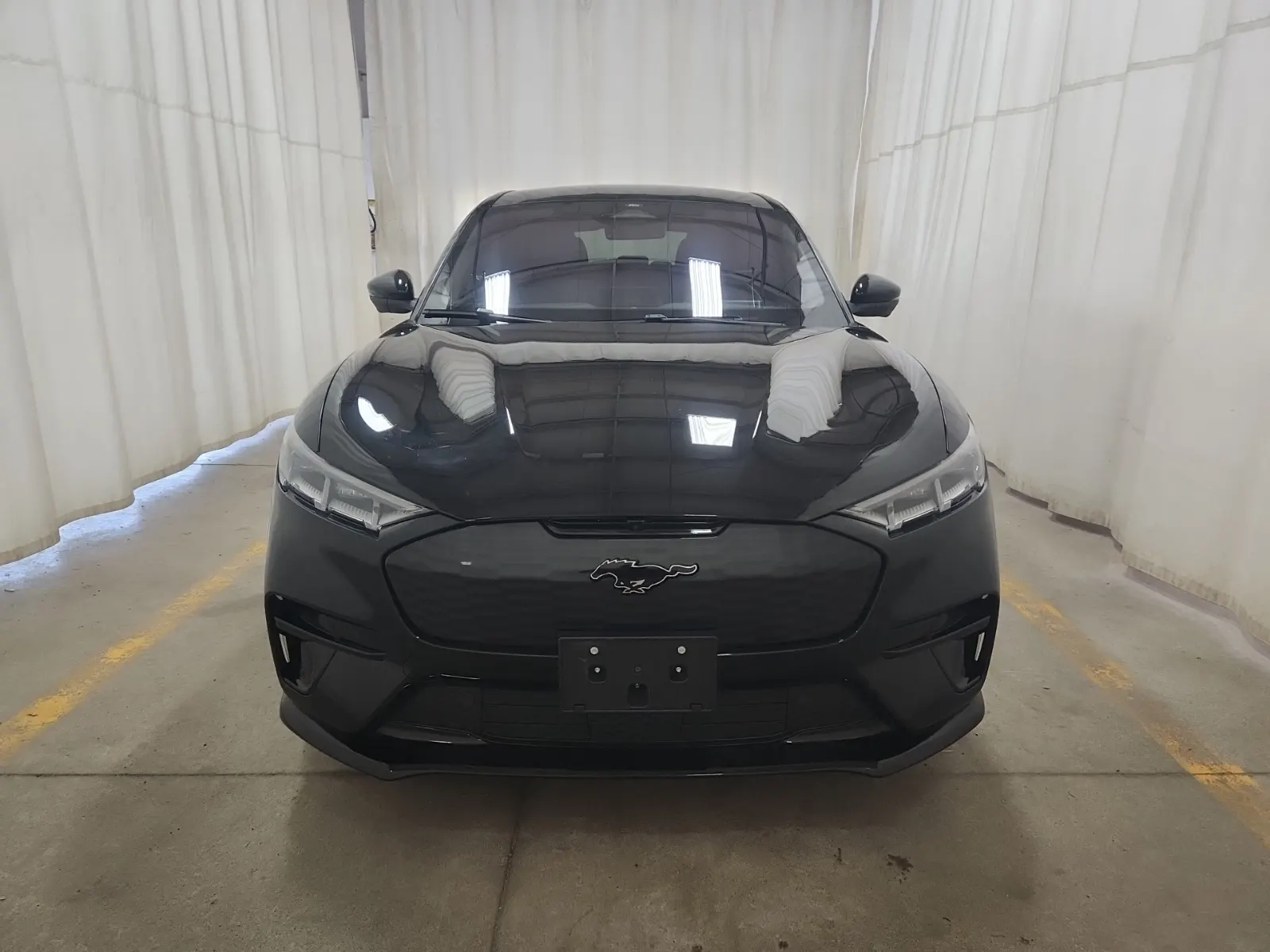 Full Front Photo