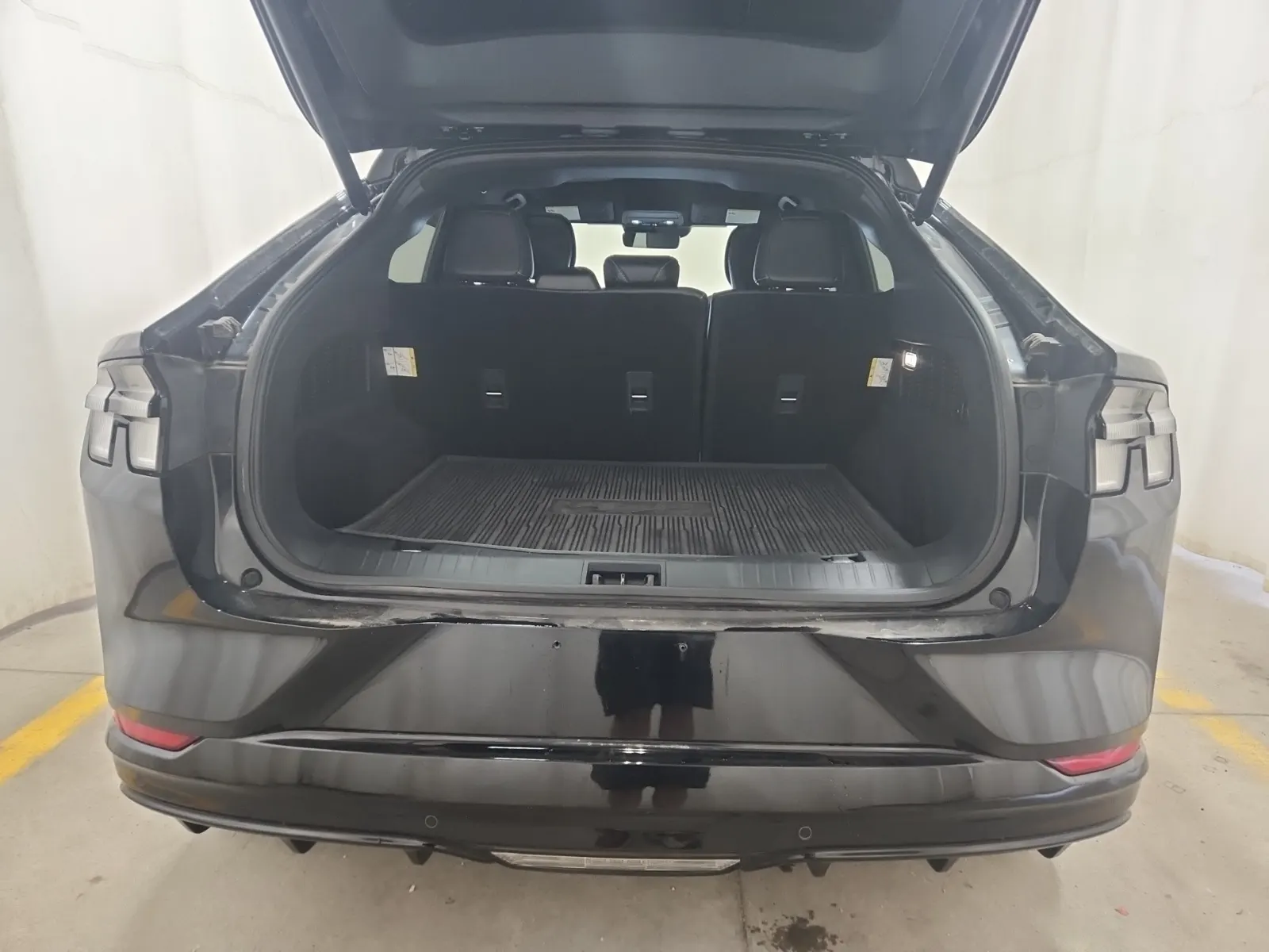 Cargo Area Photo