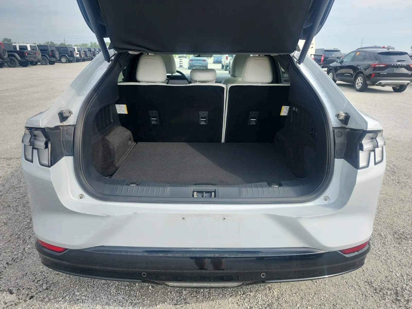 Cargo Area Photo