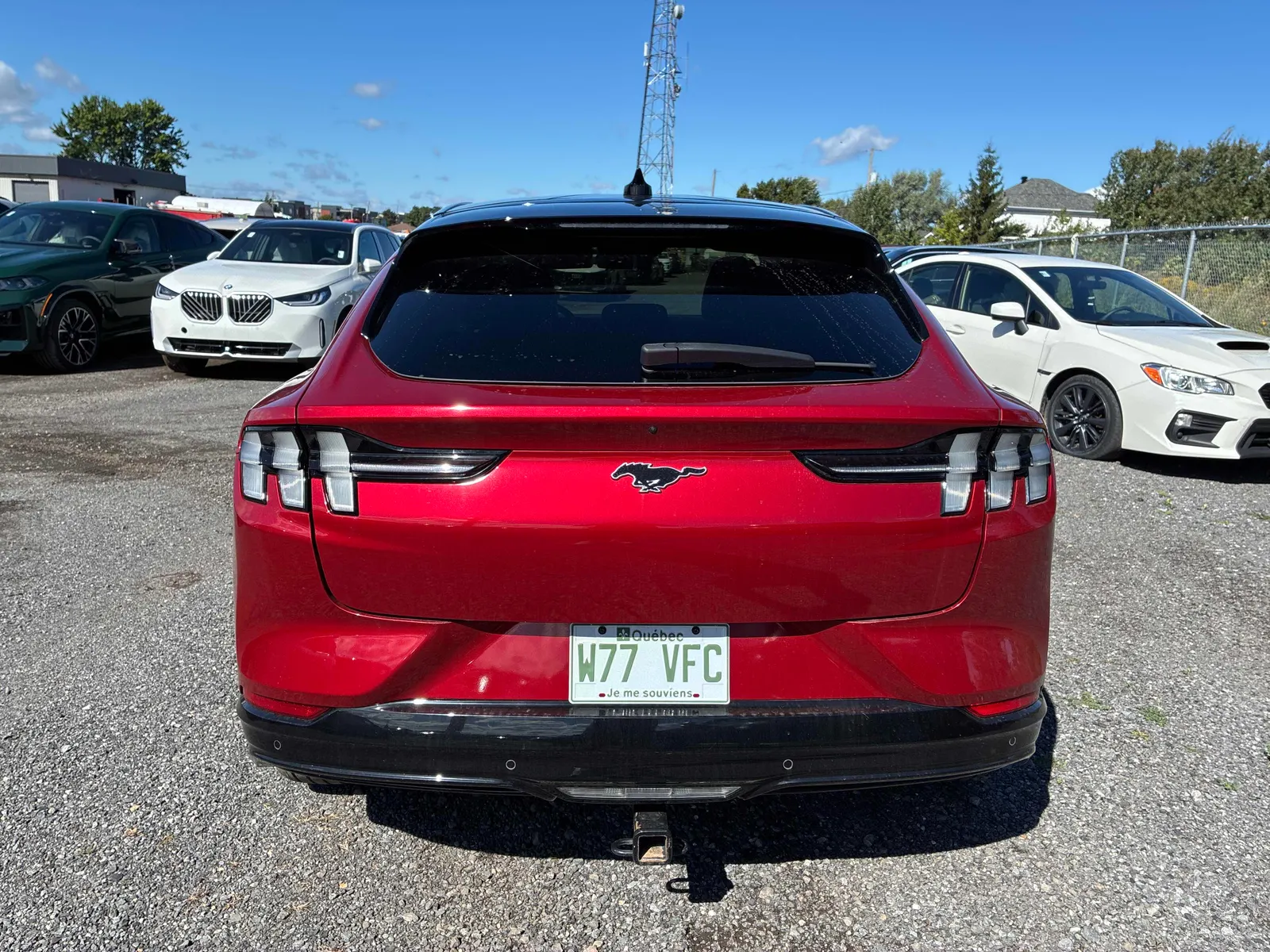 Back