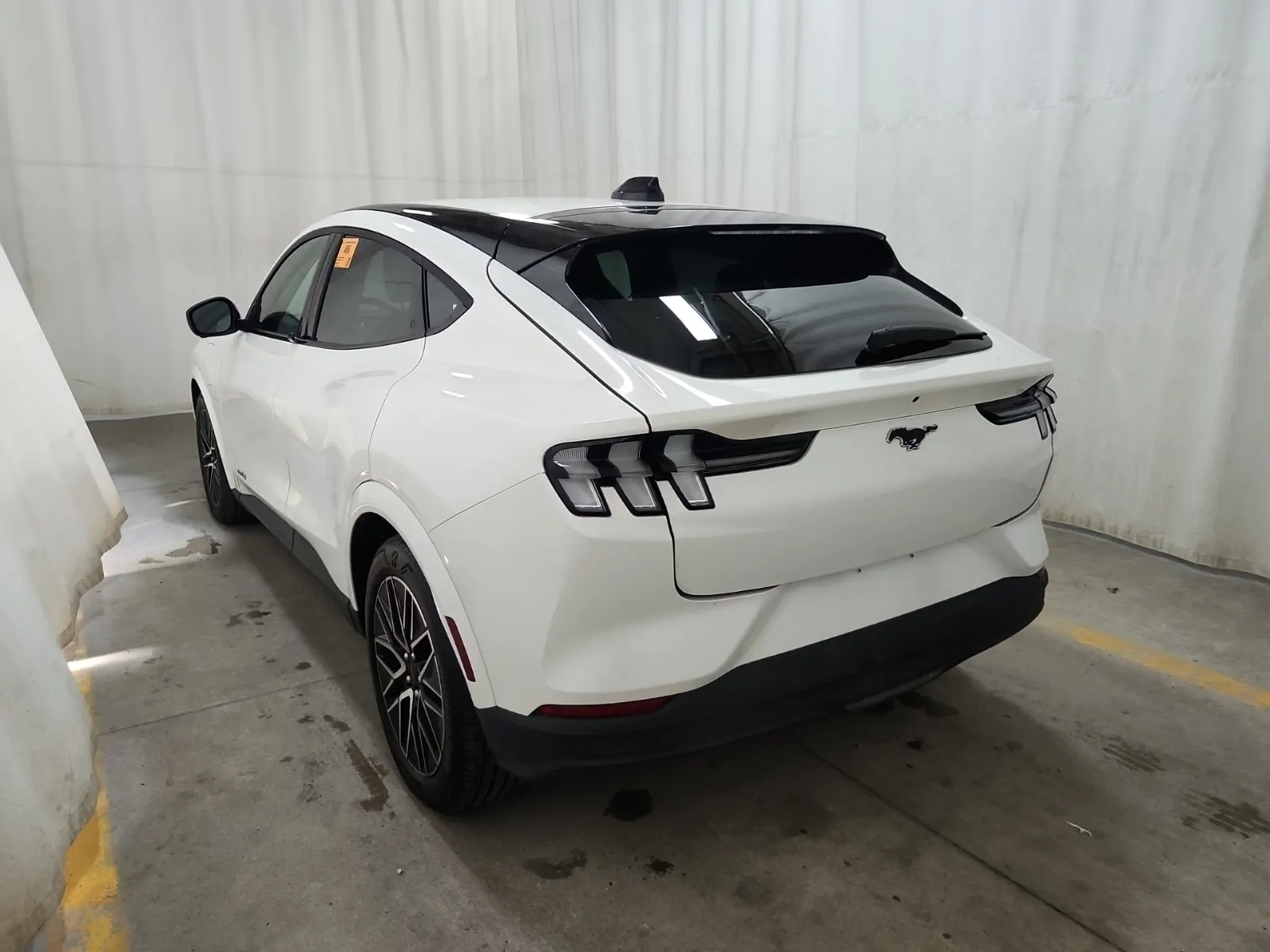 Driver Rear 3/4 Photo