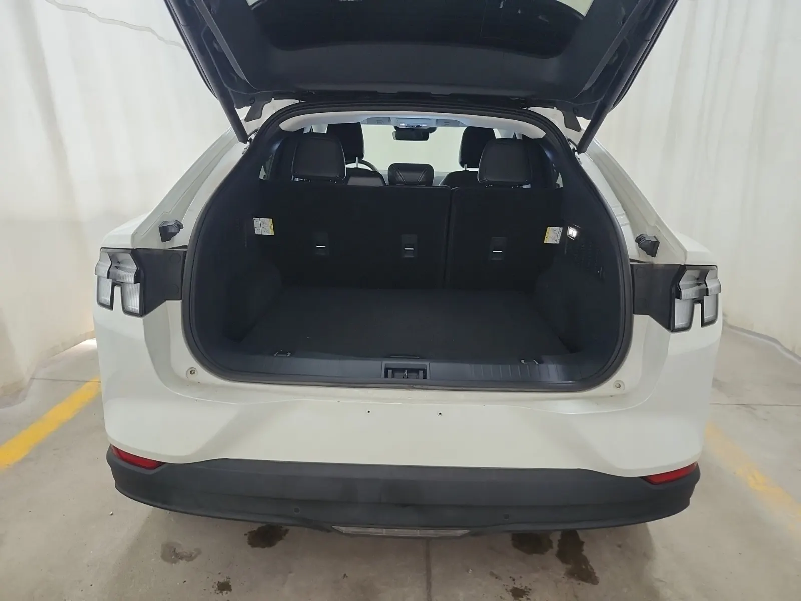 Cargo Area Photo