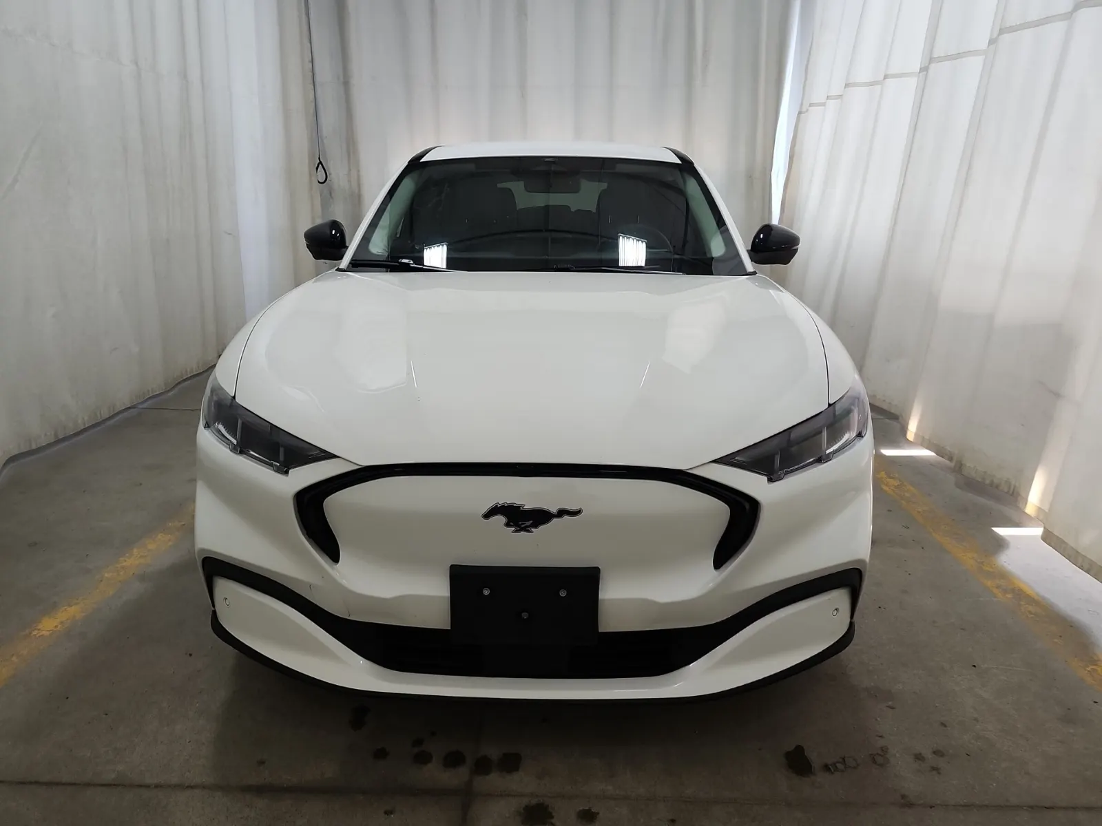 Full Front Photo