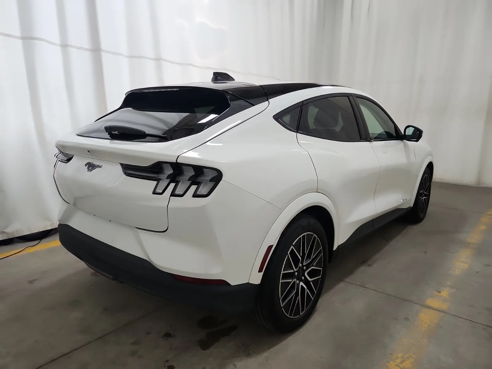 Passenger Rear 3/4 Photo