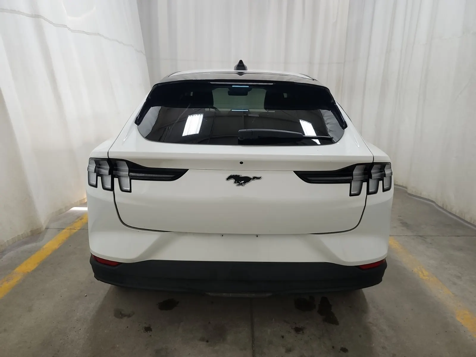 Full Rear Photo